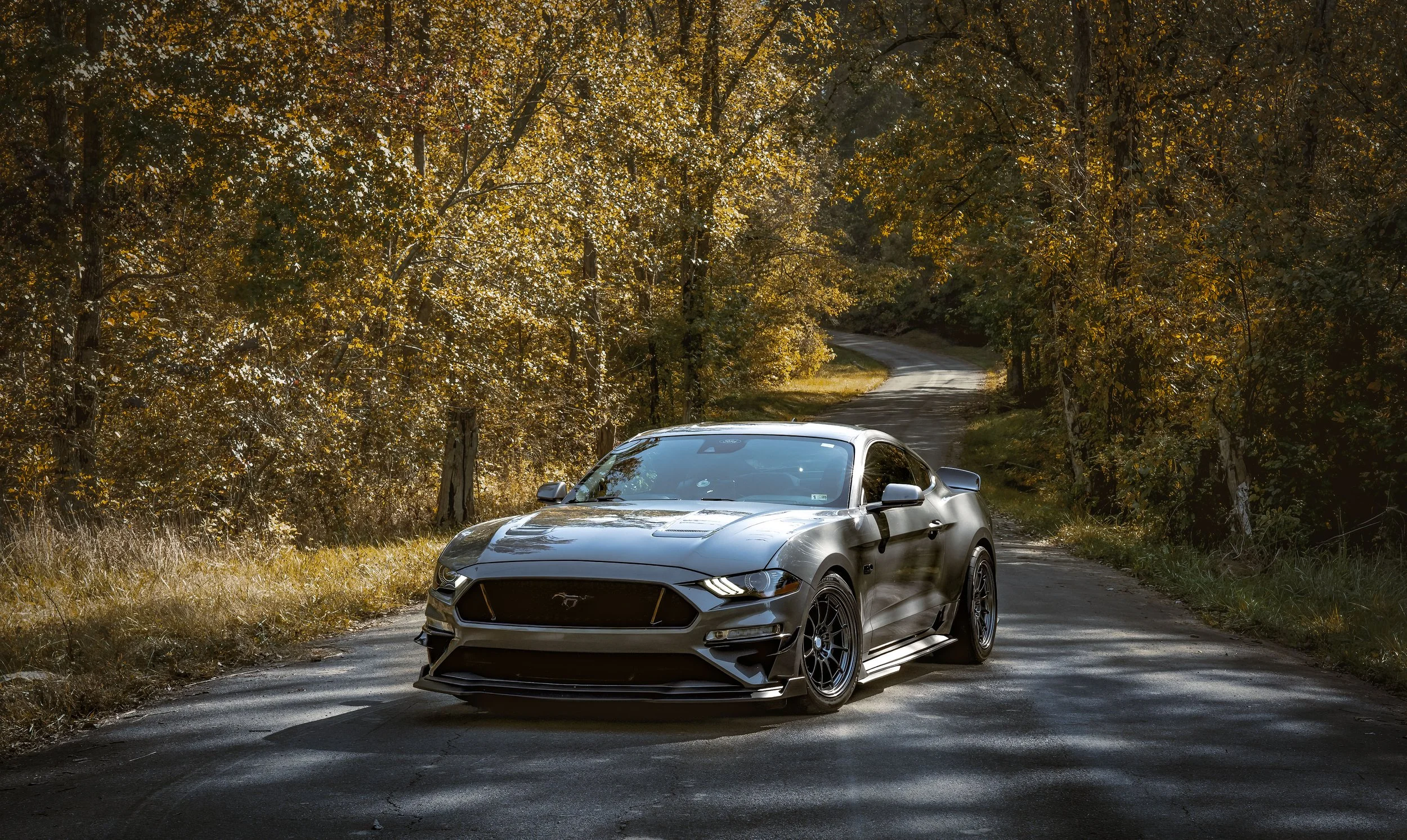 A black modern sports car parked on a curved rural road surrounded by autumn trees.