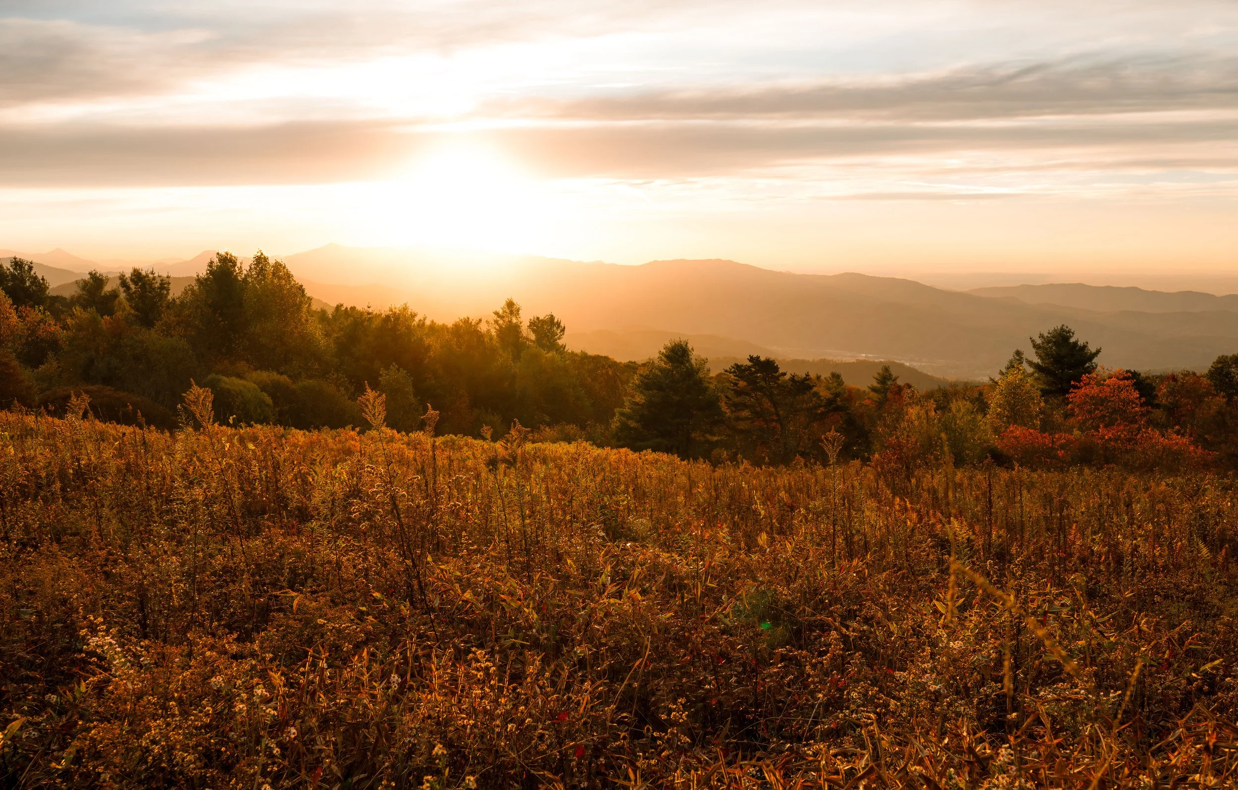 Sunset over rolling hills and a forest with autumn foliage