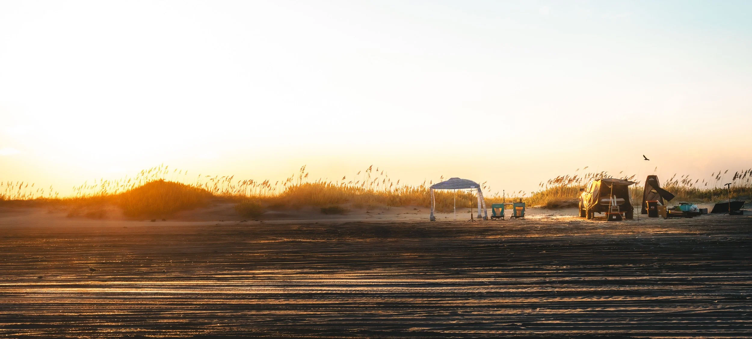 Beach at sunset with camping setup, including a canopy, chairs, tents, and parked truck, with tall grass and a bird in the sky.