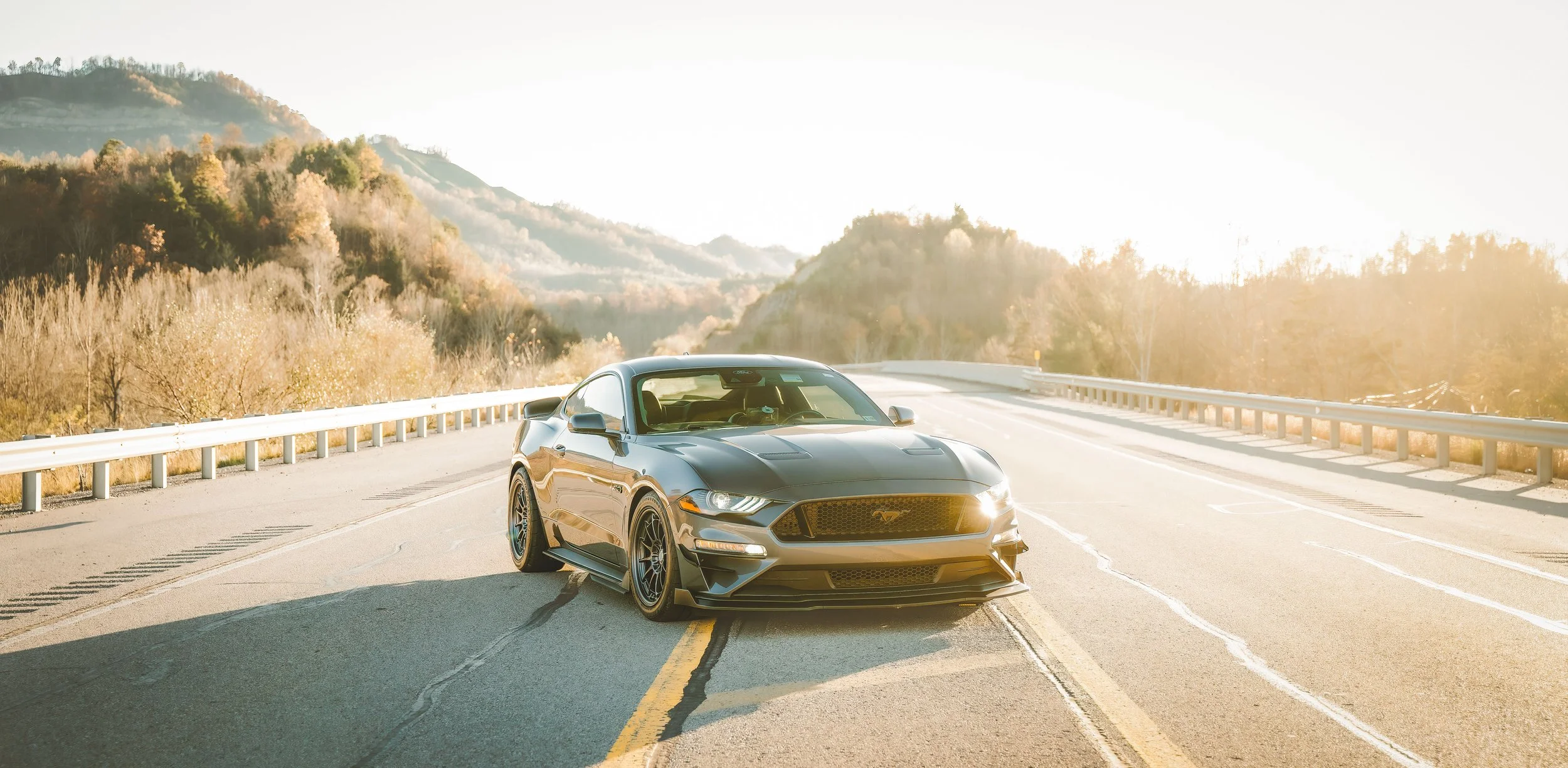 A gray Ford Mustang GT sports car parked on a curving mountain road with guardrails, surrounded by trees and mountains, bathed in sunlight.