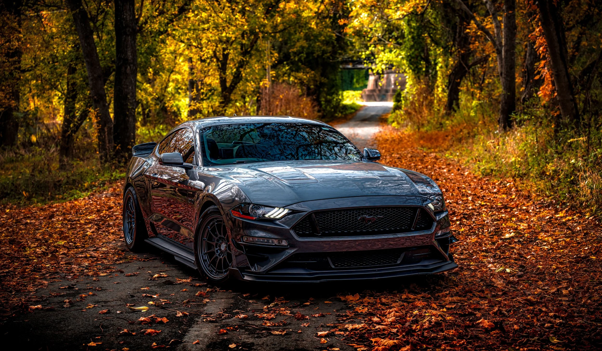 A black Ford Mustang sports car parked on an autumnal dirt road surrounded by trees with orange and yellow leaves.