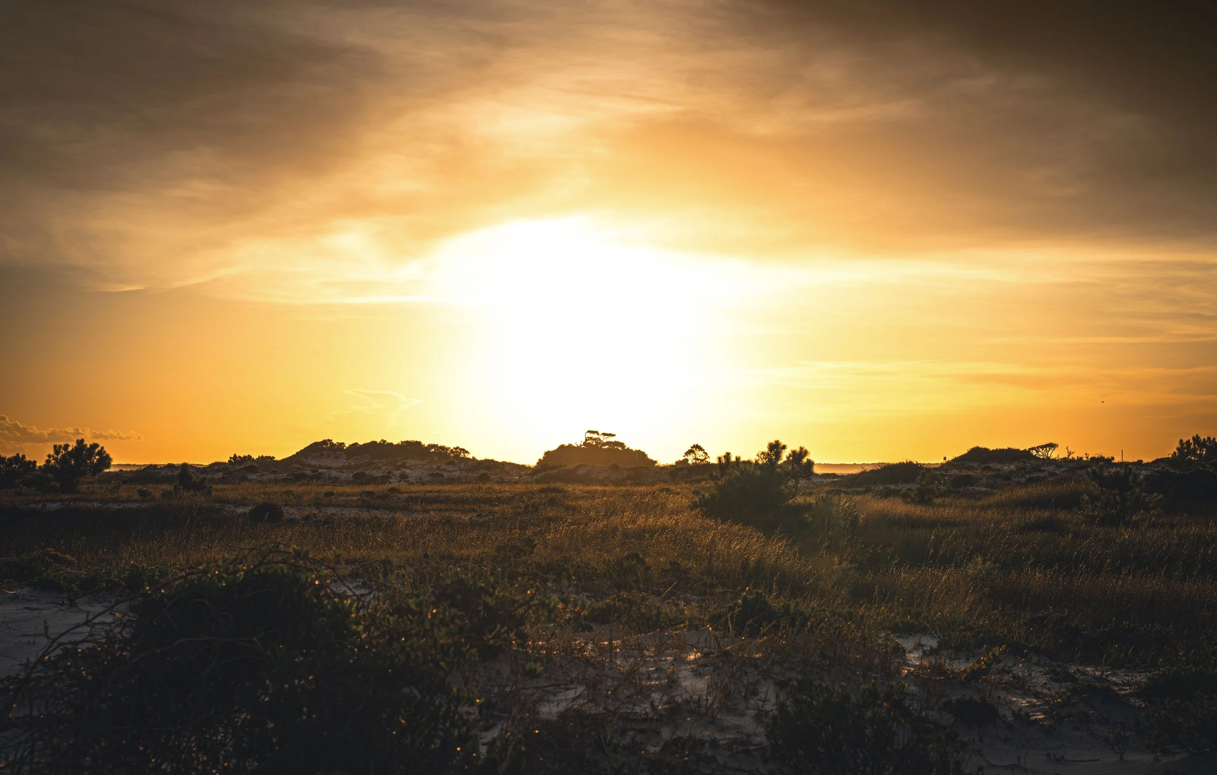 Sunset over a sandy landscape with bushes and small trees.