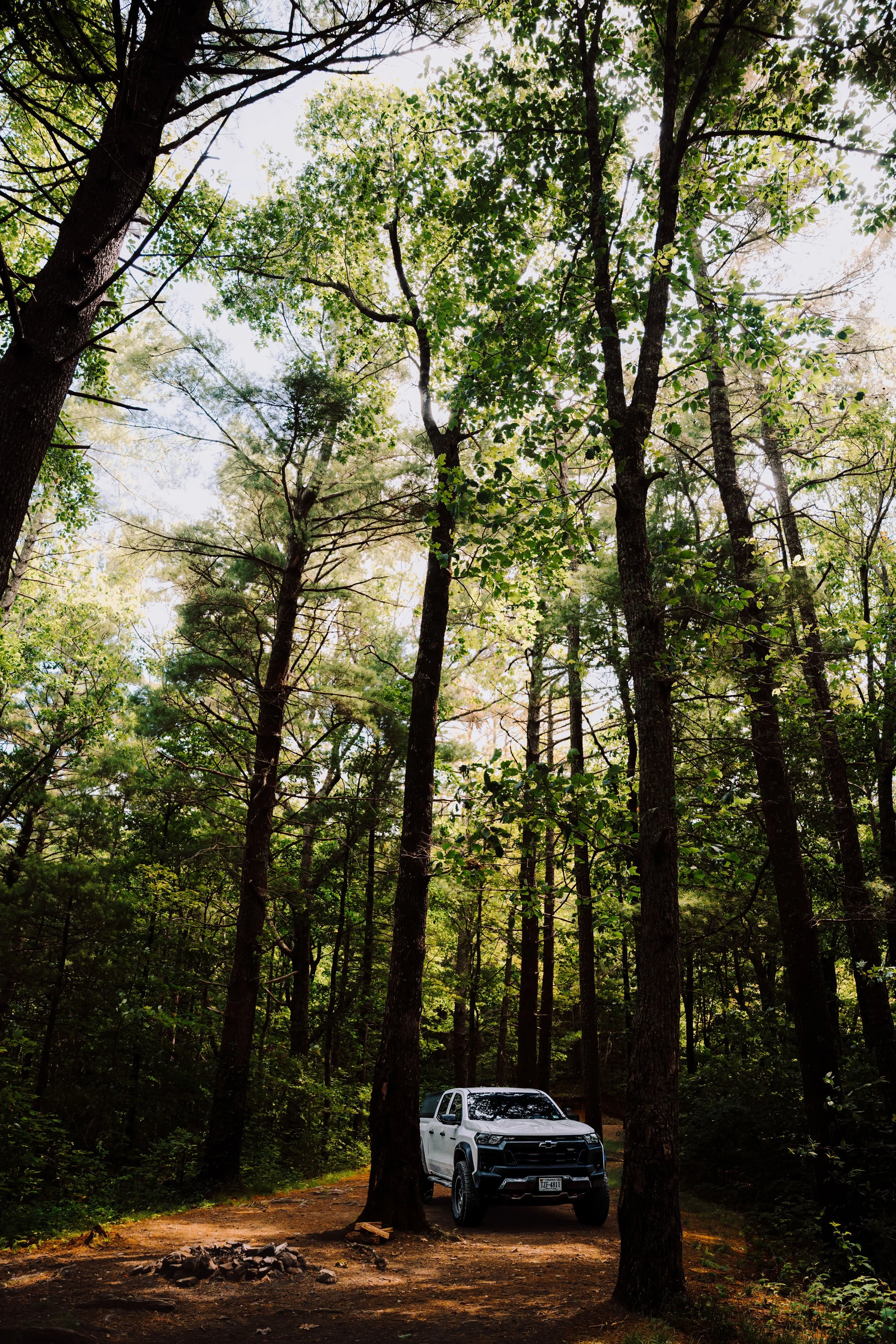A white Chevrolet Colorado pickup truck parked on a dirt path in a dense forest with tall trees and green foliage, sunlight filtering through the trees.