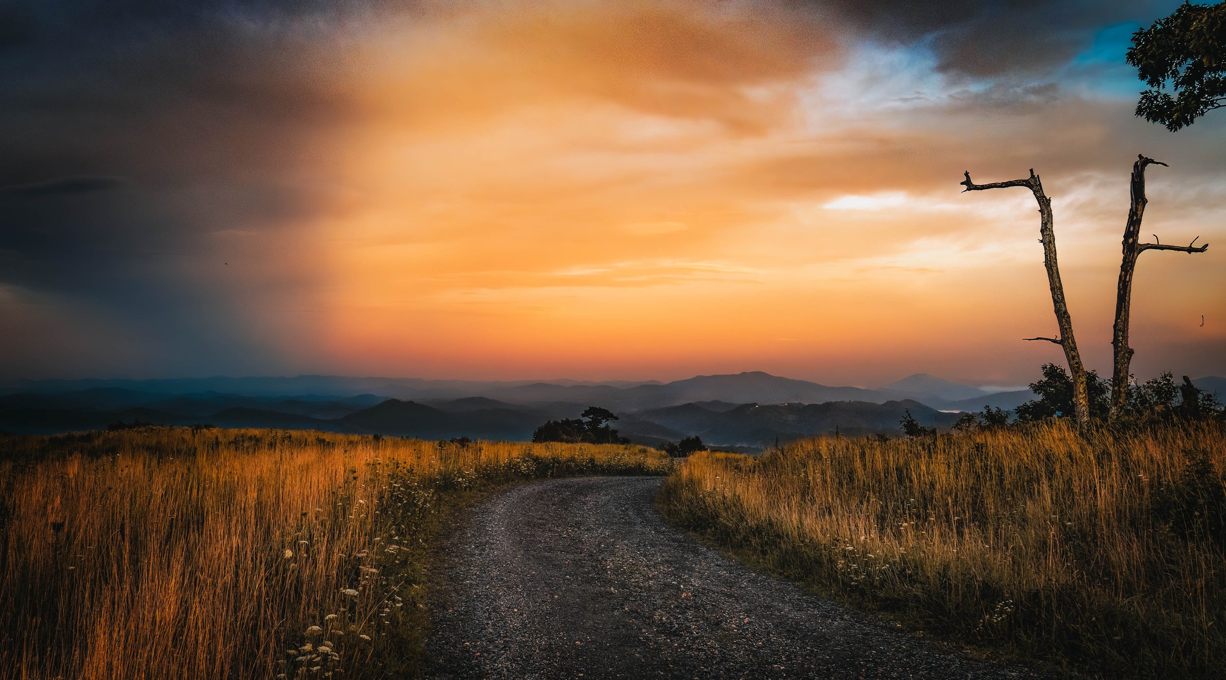 Scenic landscape at sunset with a dirt trail winding through a golden grassy field, rugged mountains in the distance, a dramatic sky with orange and blue hues, and a dead tree with no leaves on the right side of the scene.