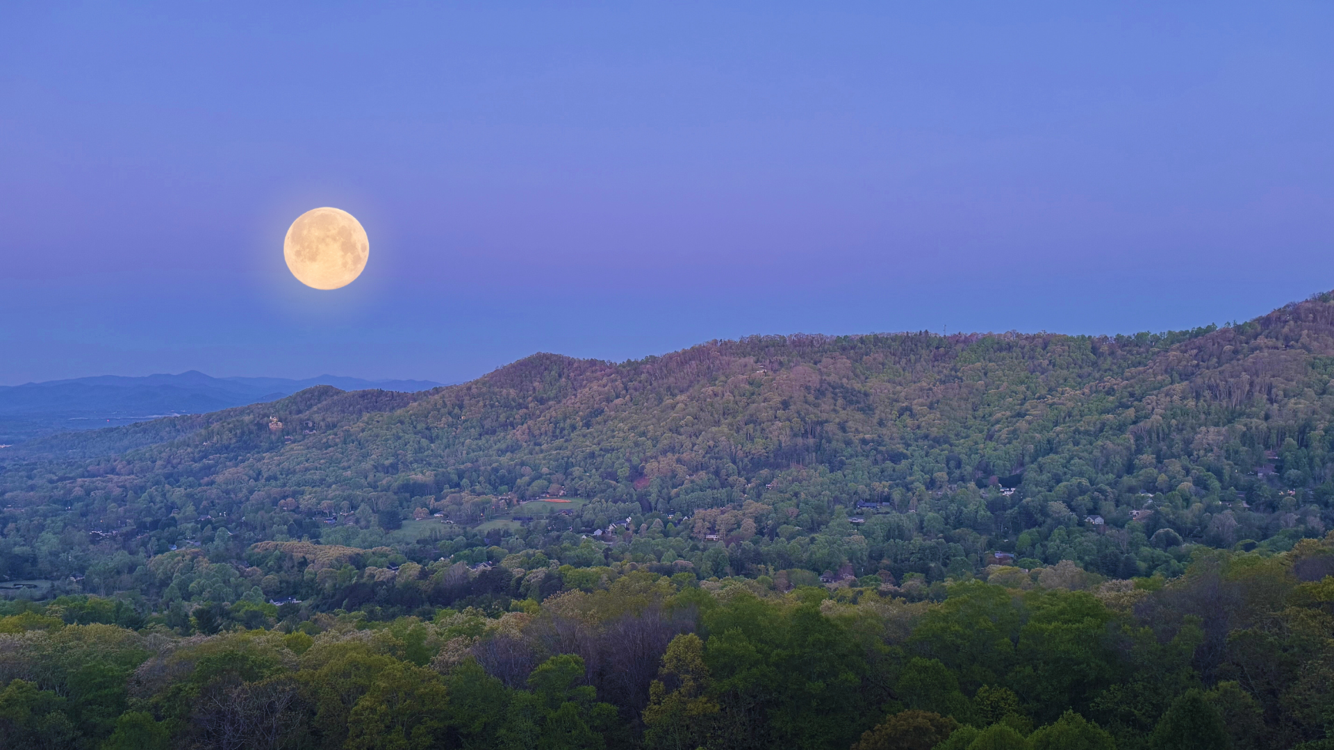 Nature as a Portal to Essence