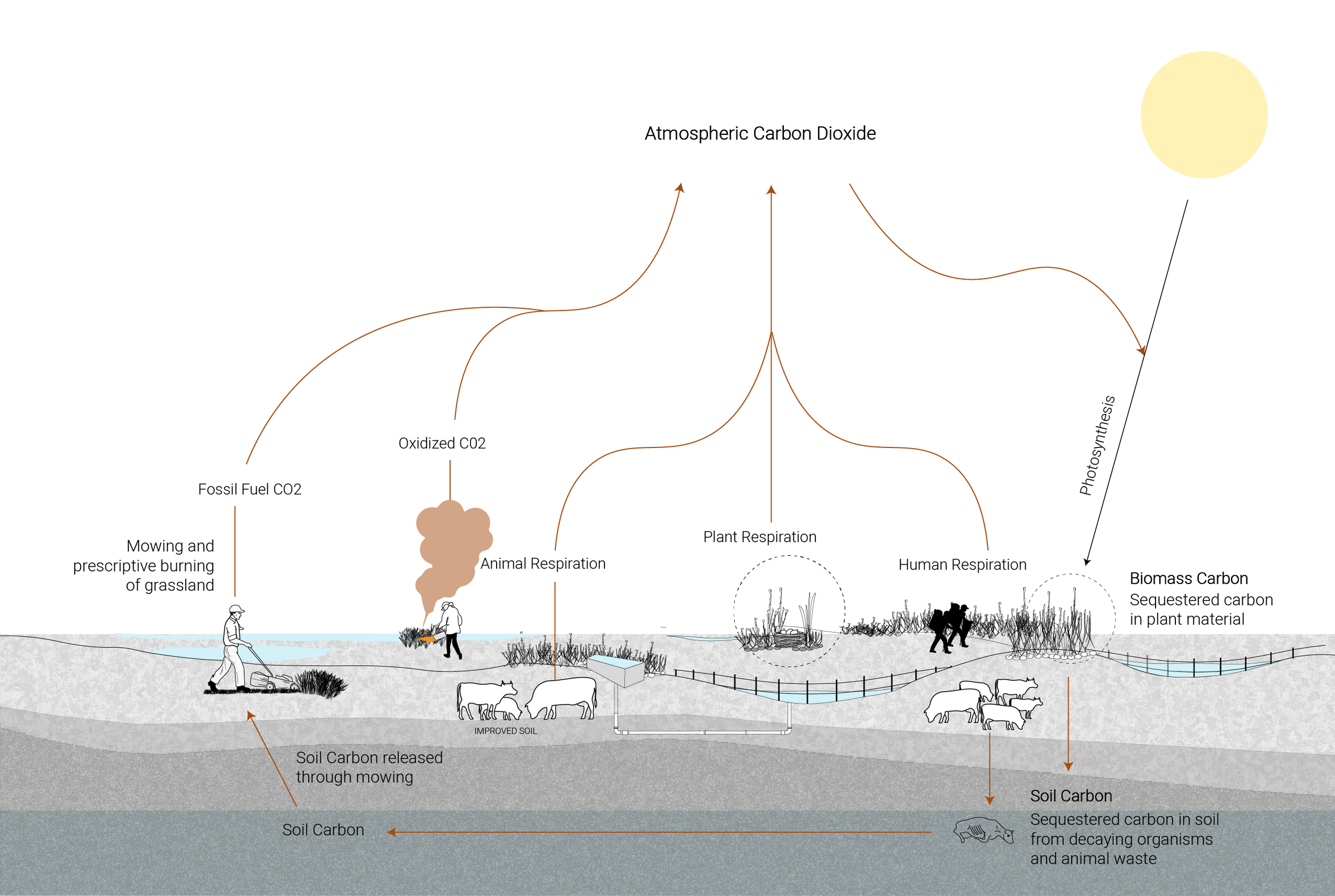 Carbon Cycle of the Hector Grasslands, Finger Lakes National Forest