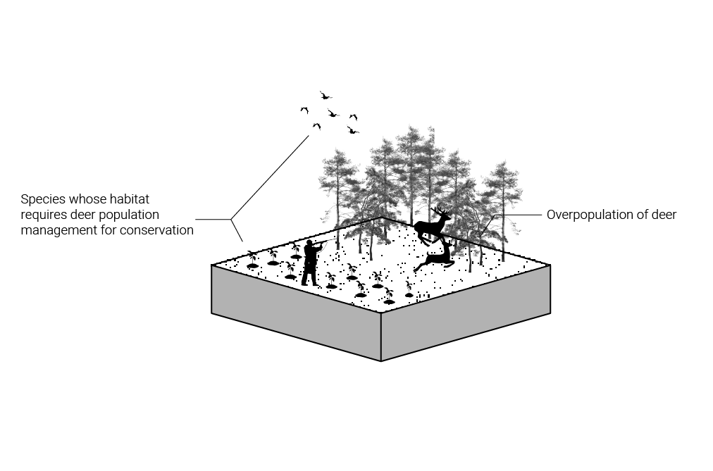 HUNTING FOR CONSERVATION. Hunting can further conservation by managing overpopulation of animals that can over-browse and threaten wildlife habitats. if a deer population surpasses what the landscape can sustain, an excess of seedlings and saplings a