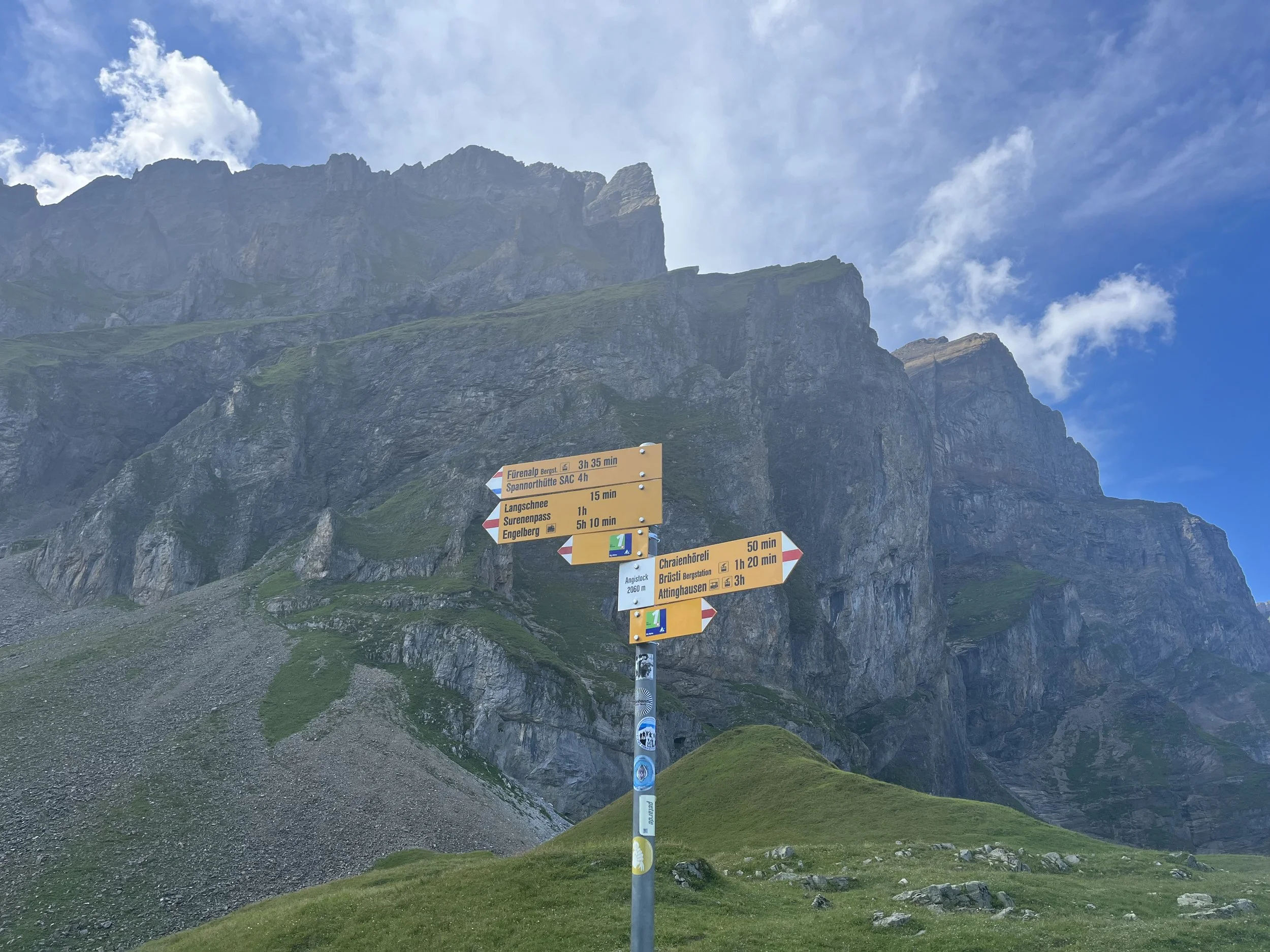 Via Alpina: Vaduz to Montreux