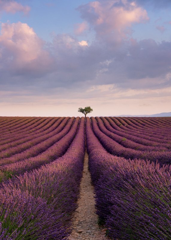 Provence, France
