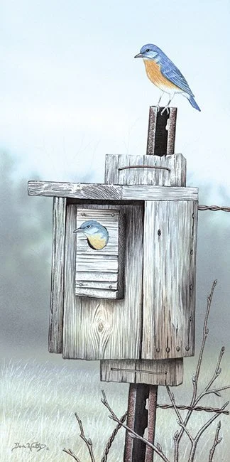 SQ5009DW - Bluebirds by Dan Waltz