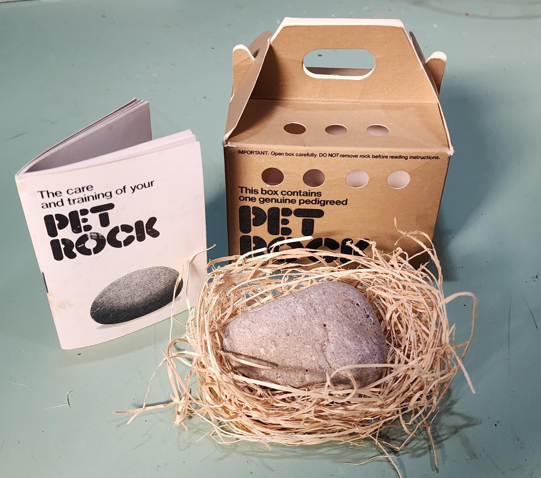 The Original 1975 Pet Rock