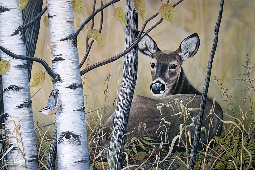 SQ5003DW - Tranquil Response - Deer with Red Breasted Nuthatch by Dan Waltz