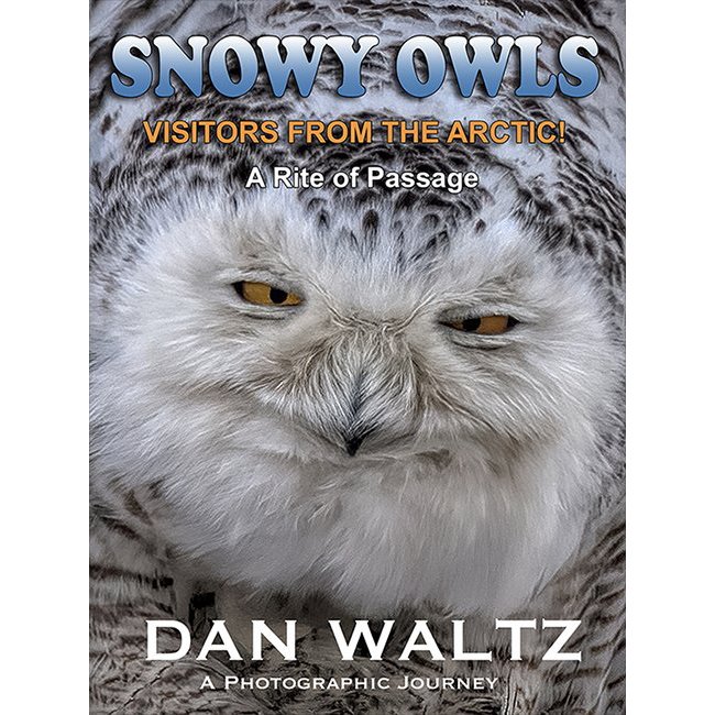 Snowy+Owls+front-cover.jpg