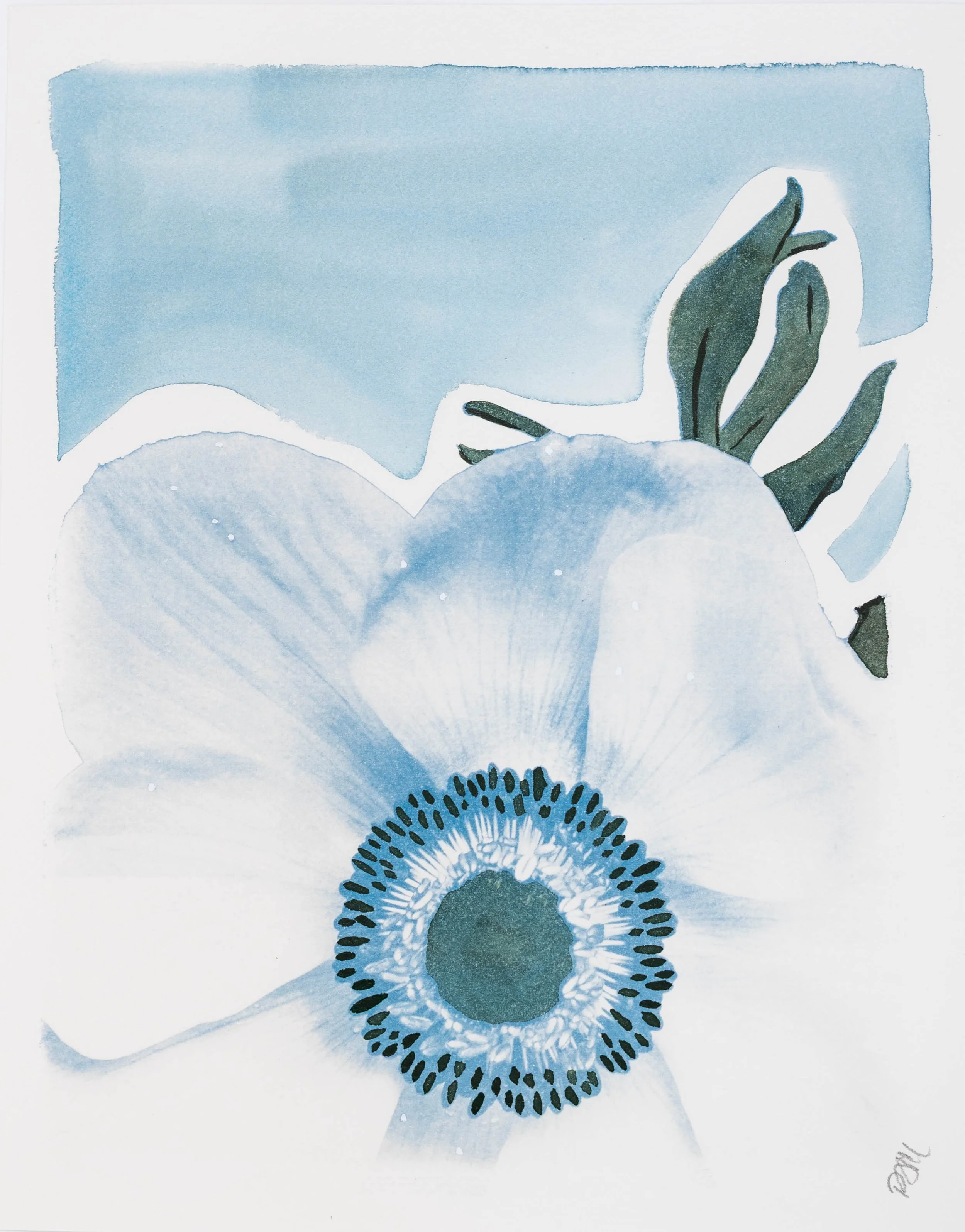 PJM, Blooms-1.jpg