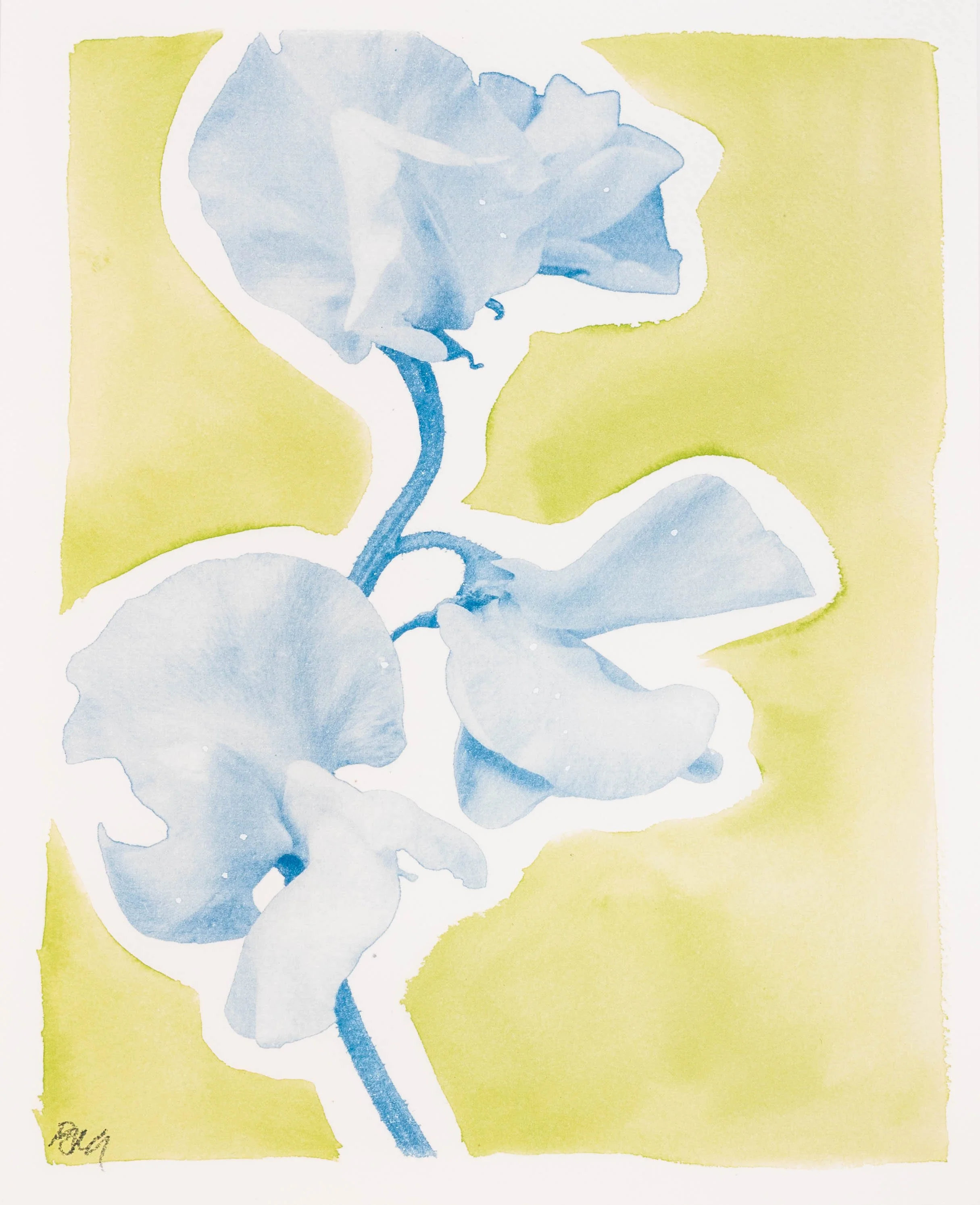 PJM, Blooms-5.jpg