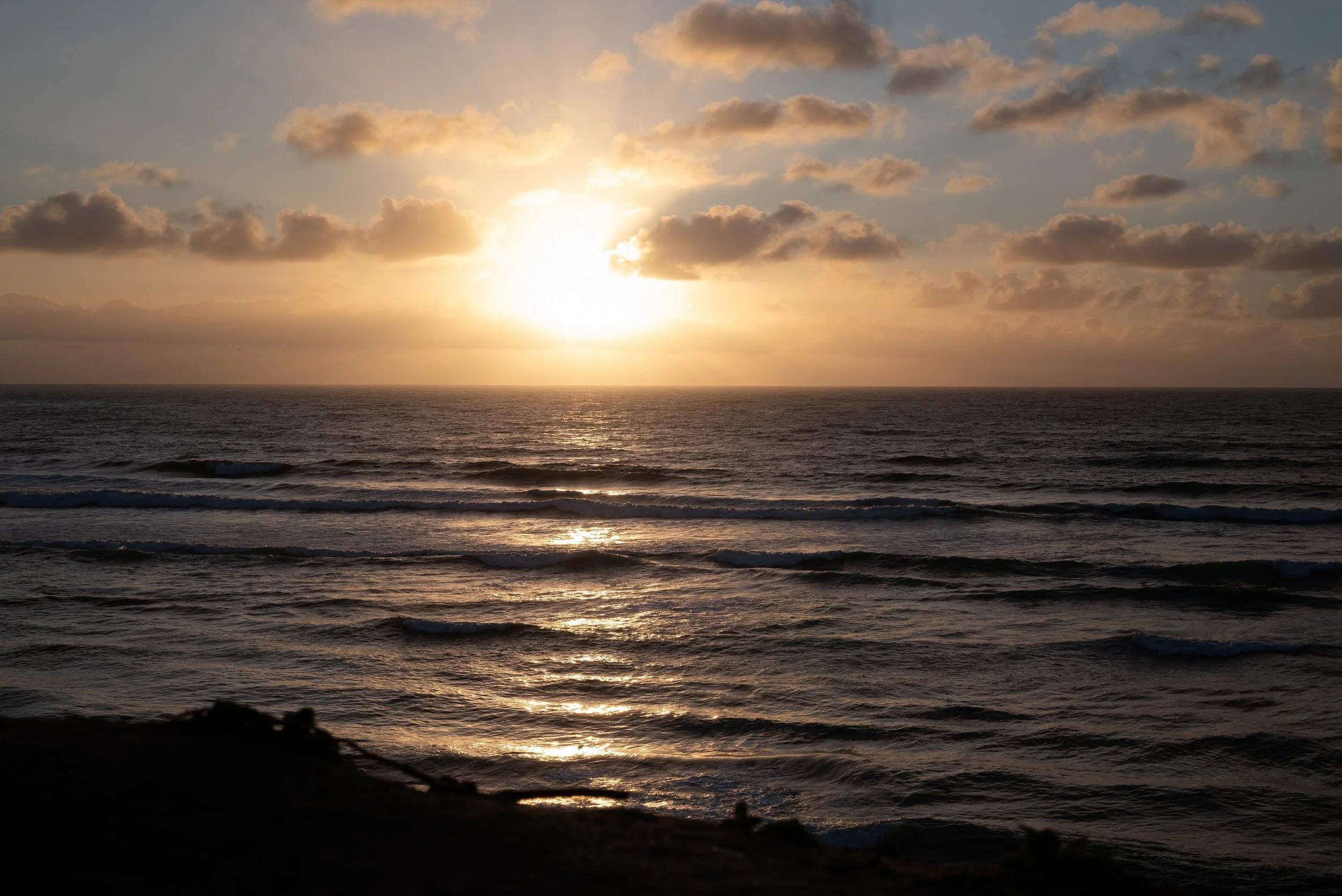 DSC_8008.jpg