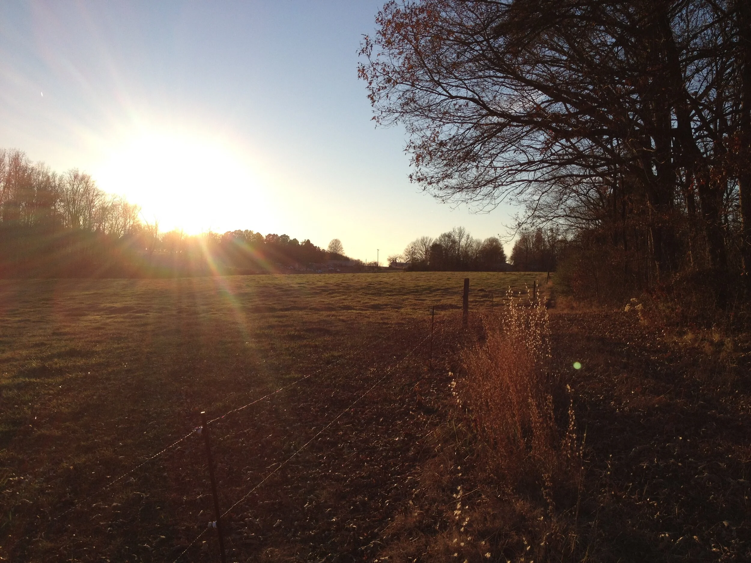 A Heart Full of Grateful...