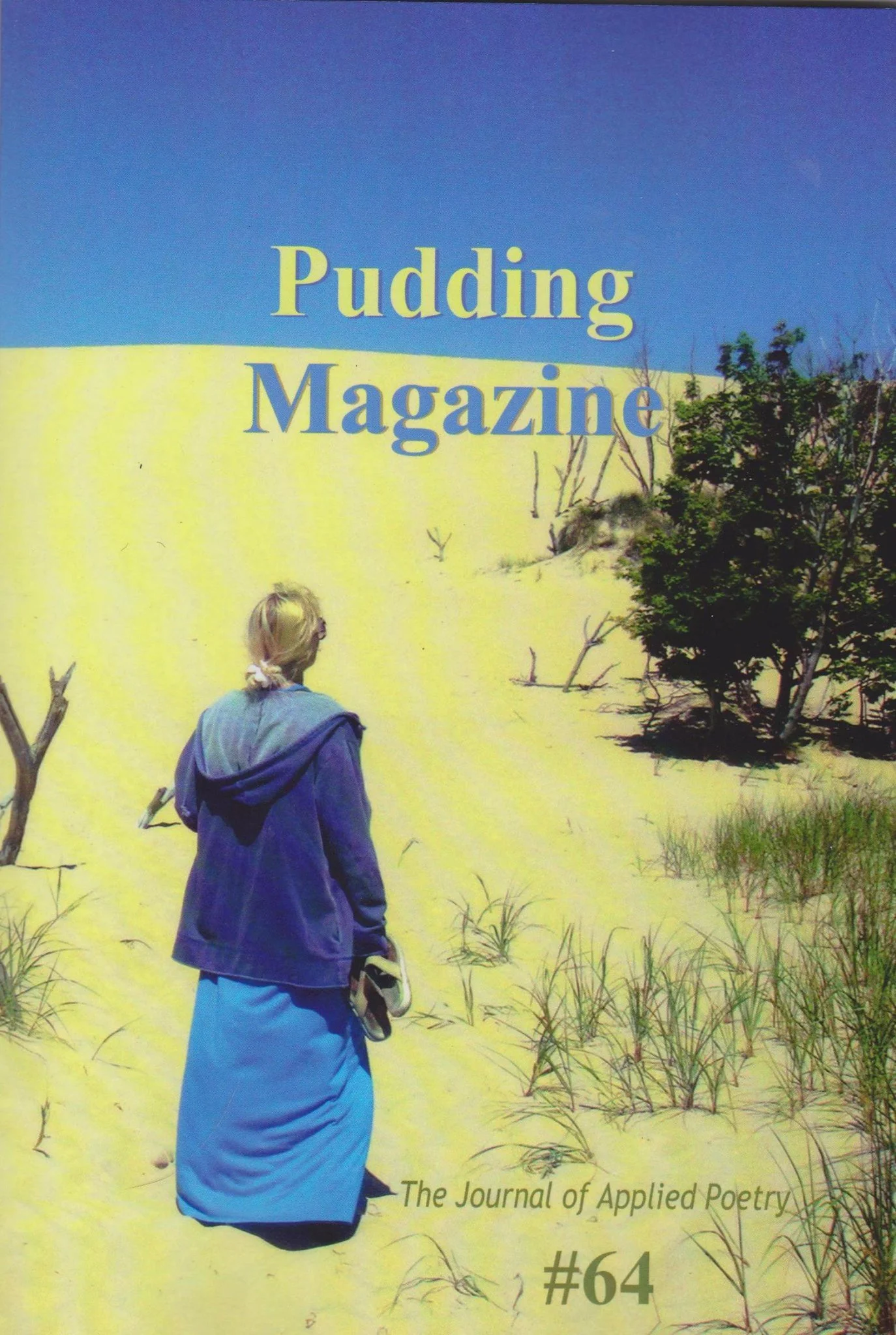 journal cover of a lady with her backed turned and in a long blue dress and blue hoodie standing in the desert