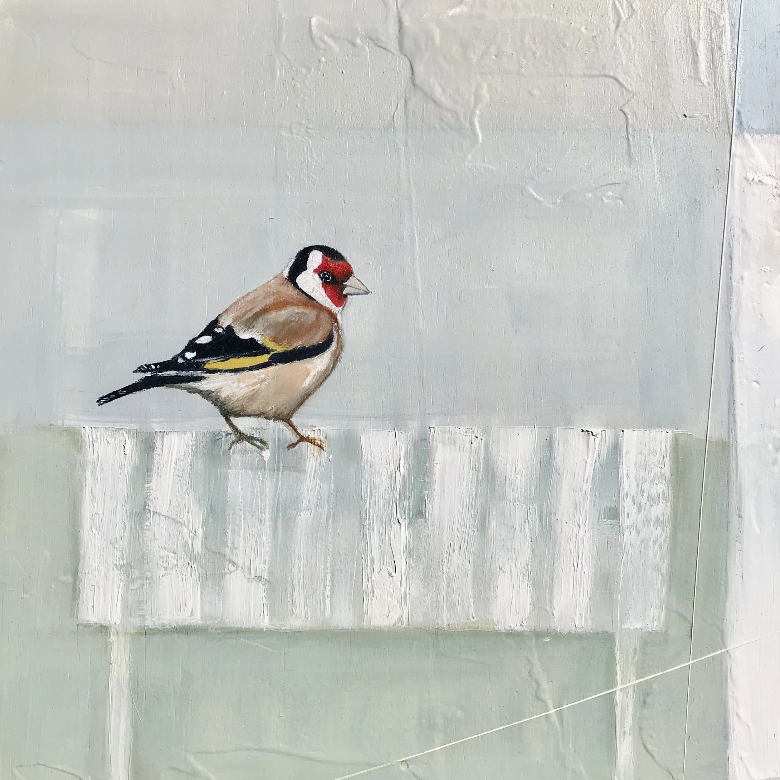 Goldfinch