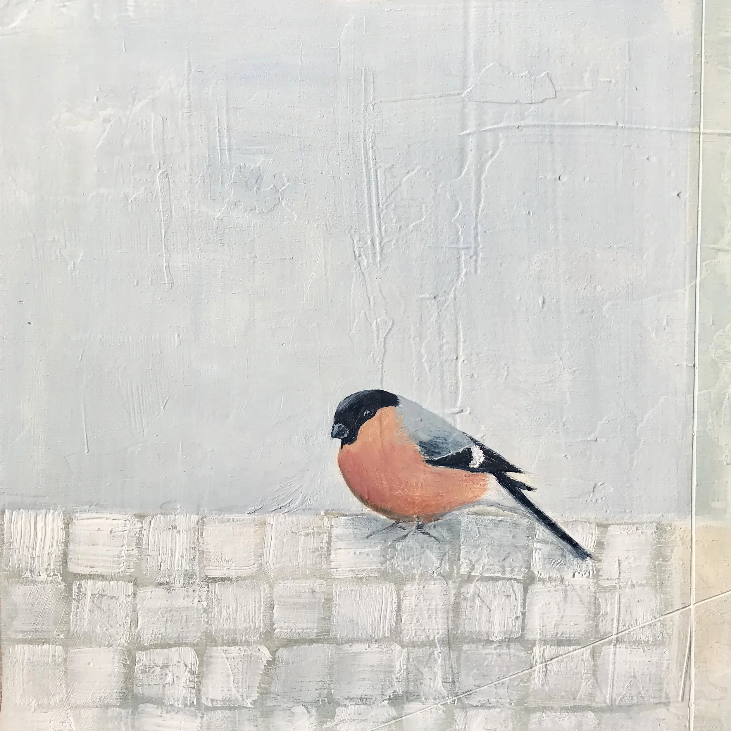 Bullfinch