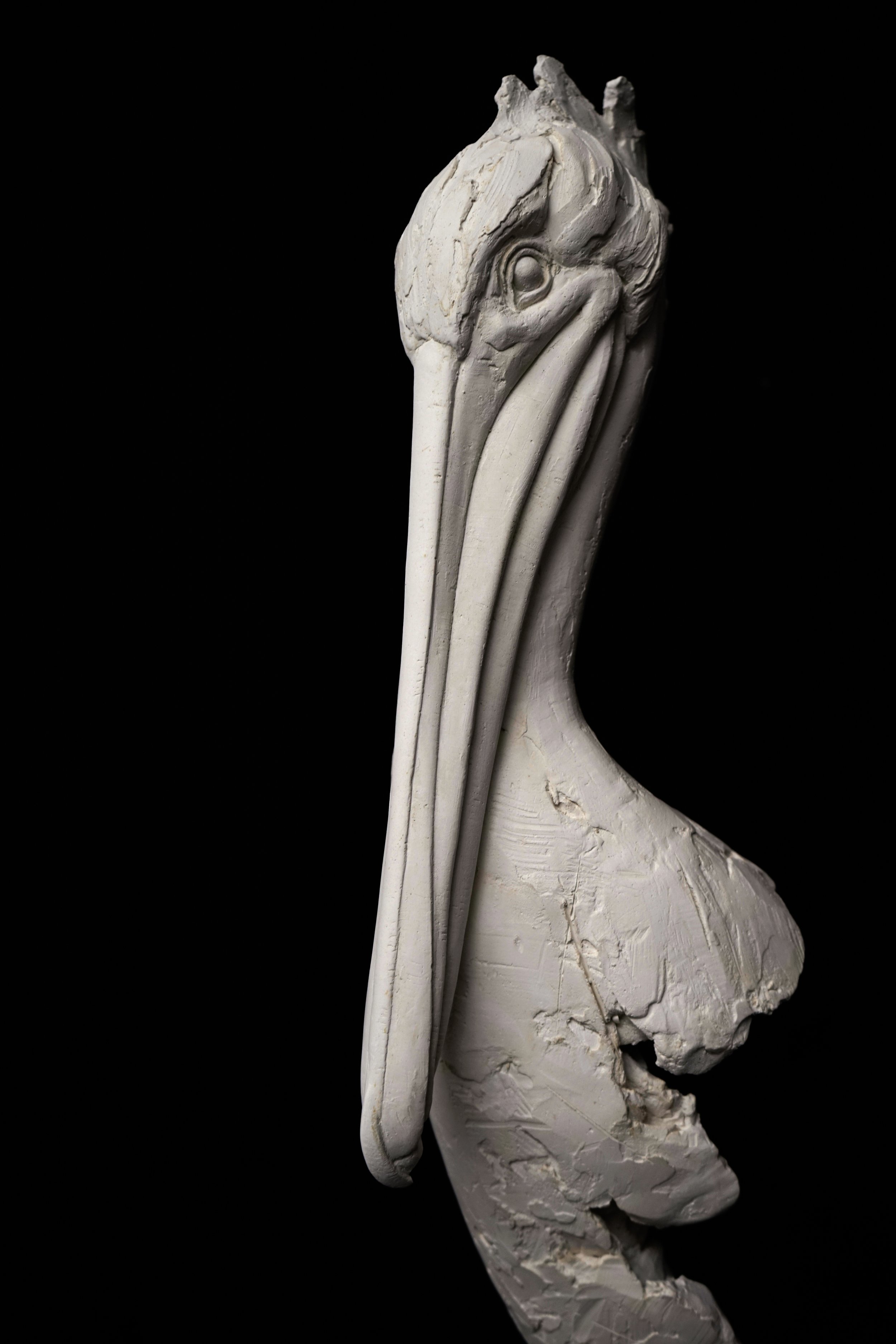 Charles_Westgarth_Pelican (2)-2.jpg