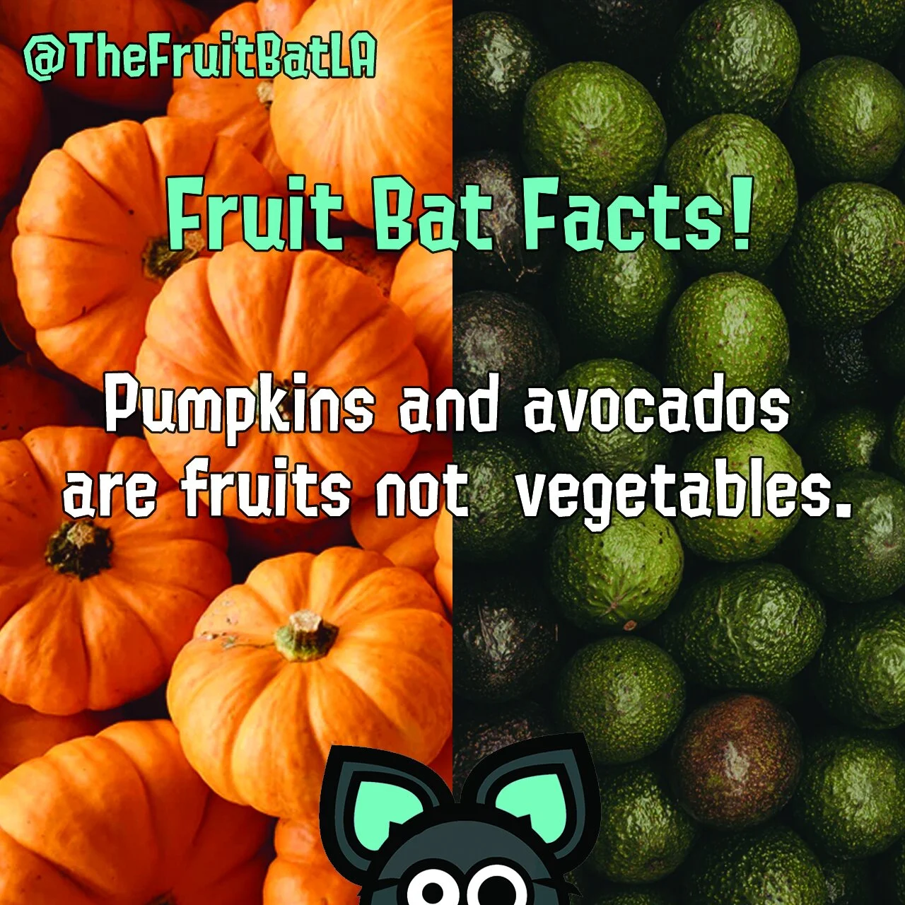 FBF PUMPAVOCADO.jpg