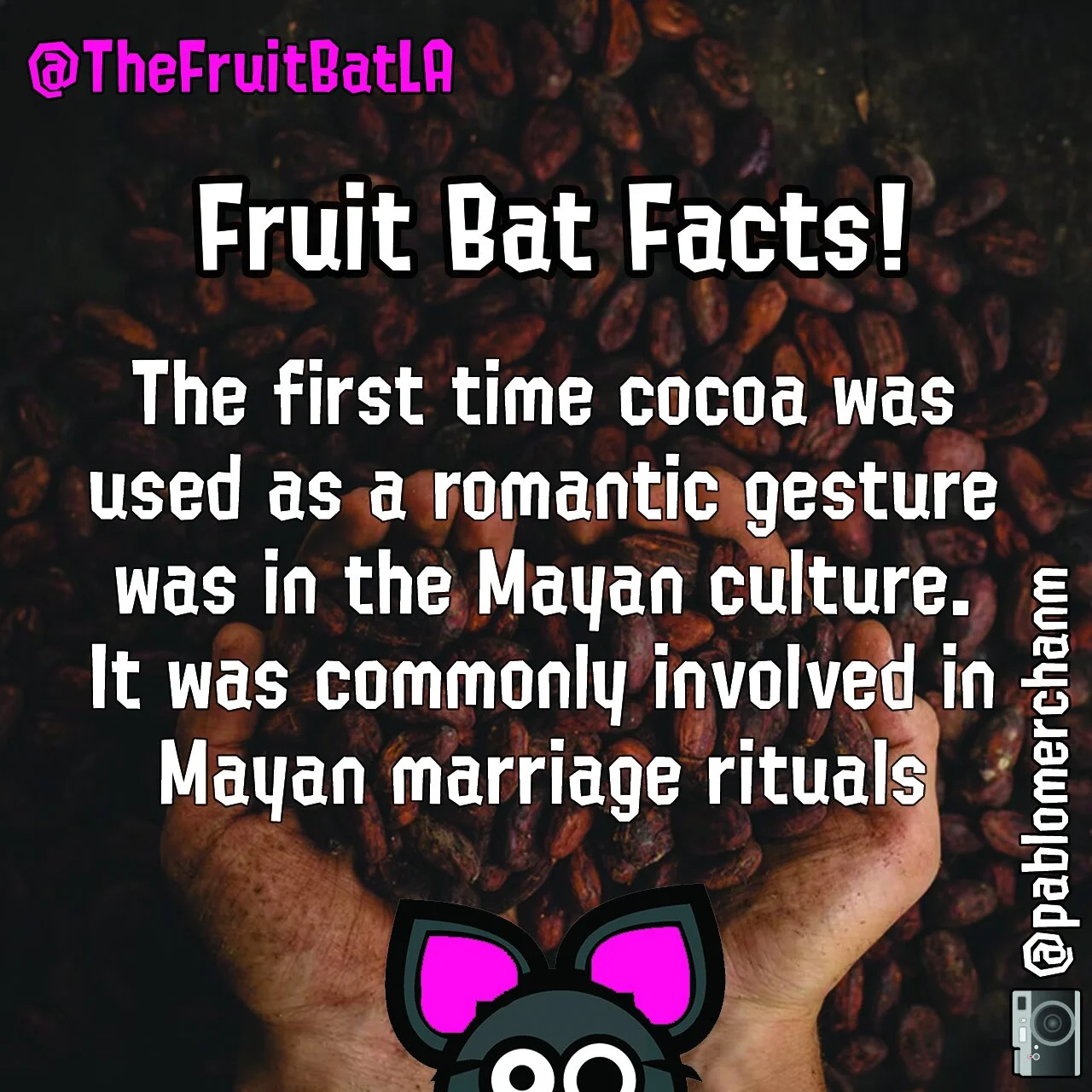 FBF CACAO.jpg