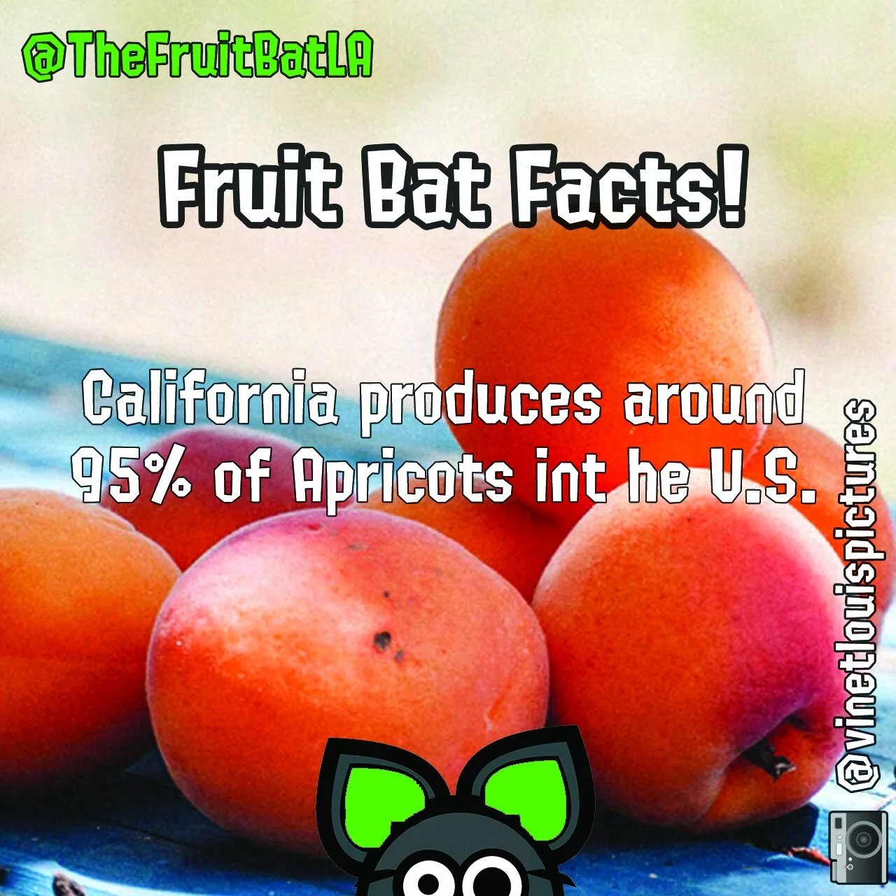 FBF APRICOTS.jpg