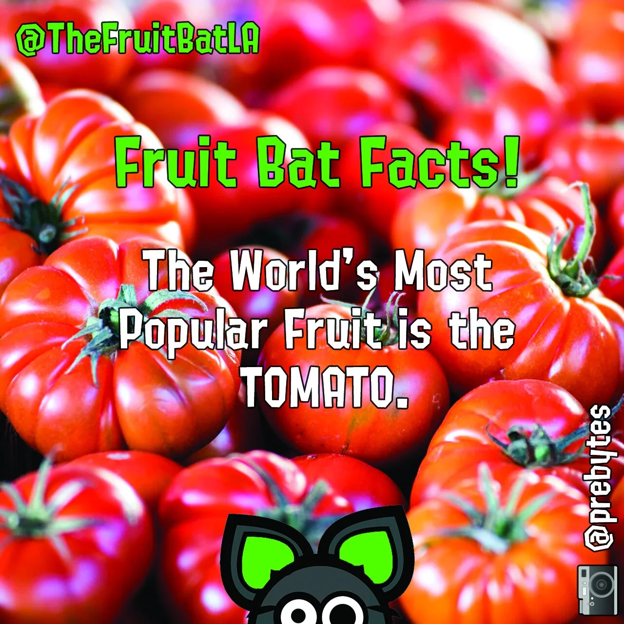 fbf tomatoes.jpg