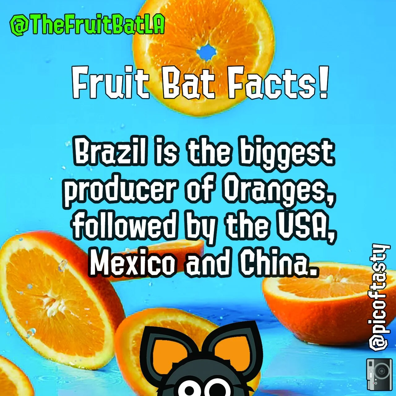 FBF ORANGES.jpg