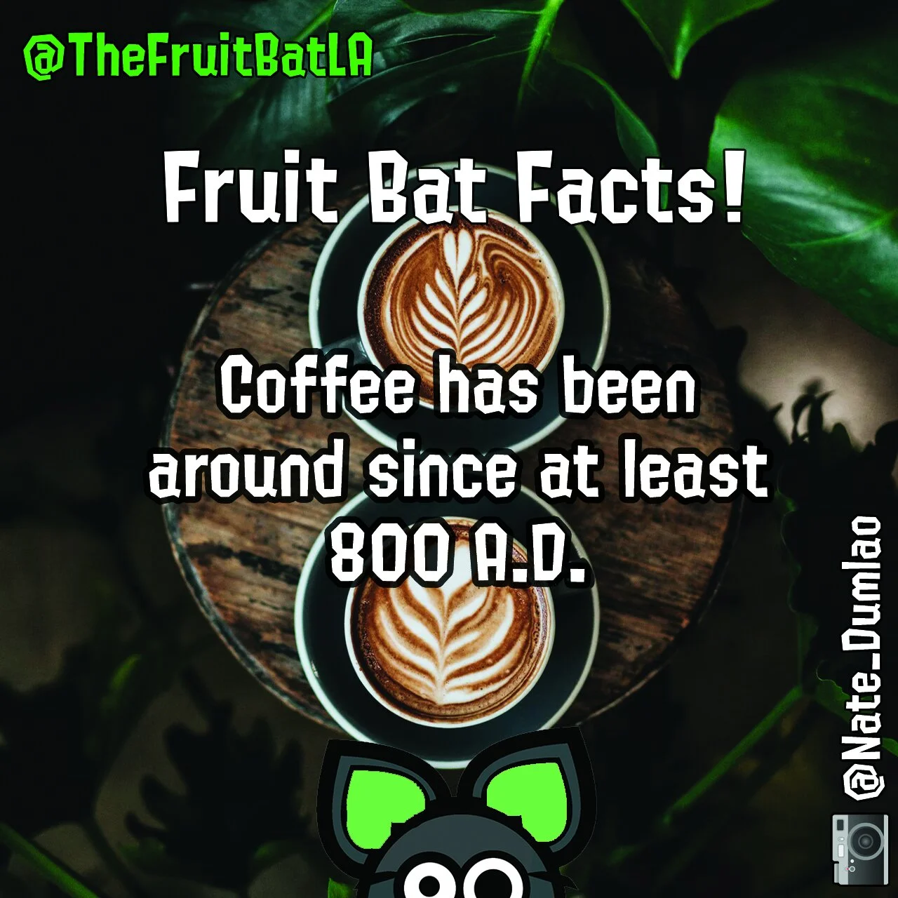 FBF COFFEE 800AD.jpg