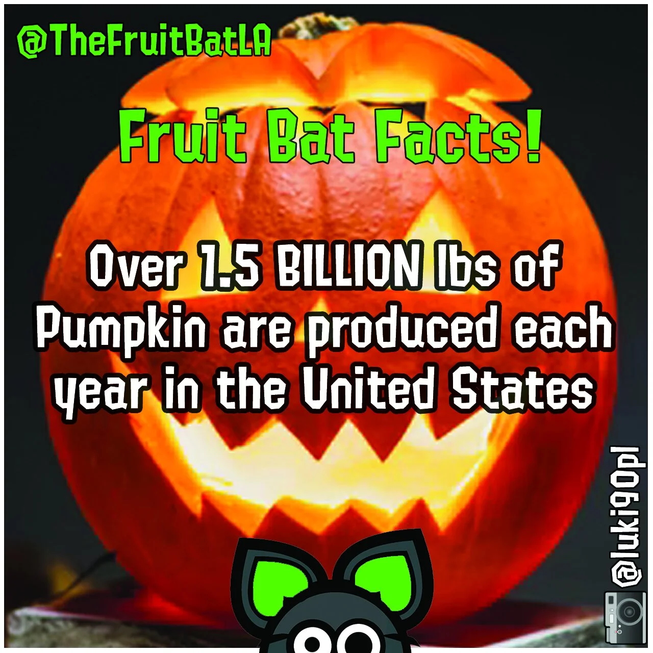 FBF PUMPKIN US.jpg