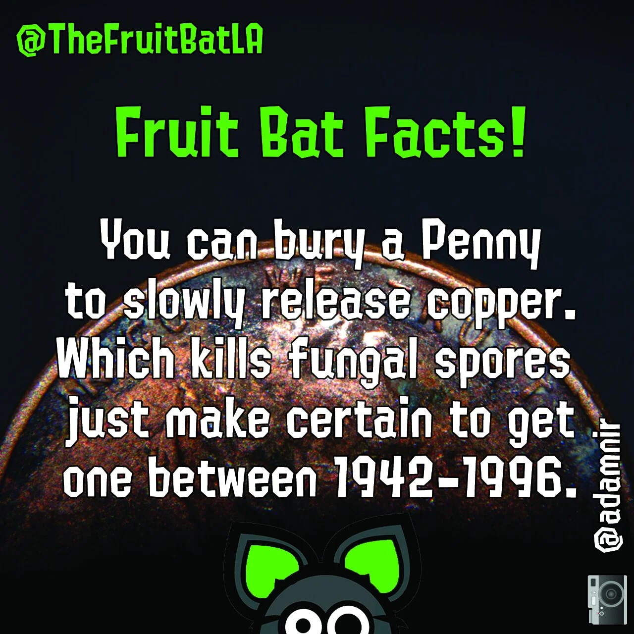 FBF PENNY.jpg
