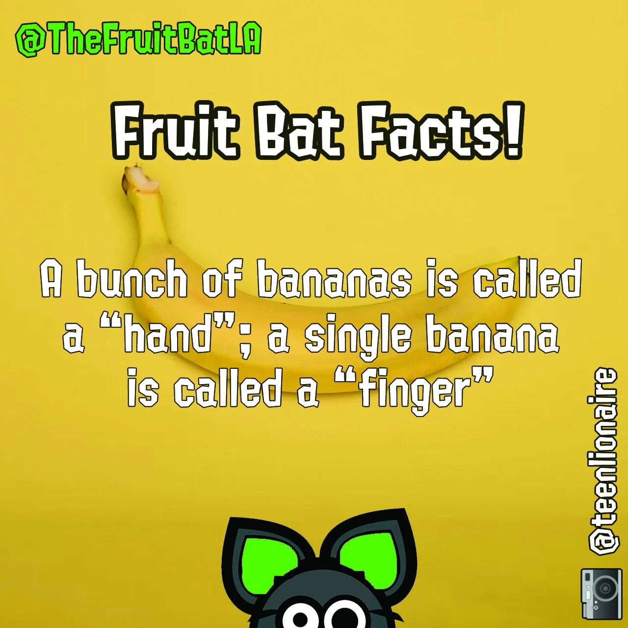 FBF BANANA FACT.jpg