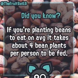 Plant tips 2.jpg
