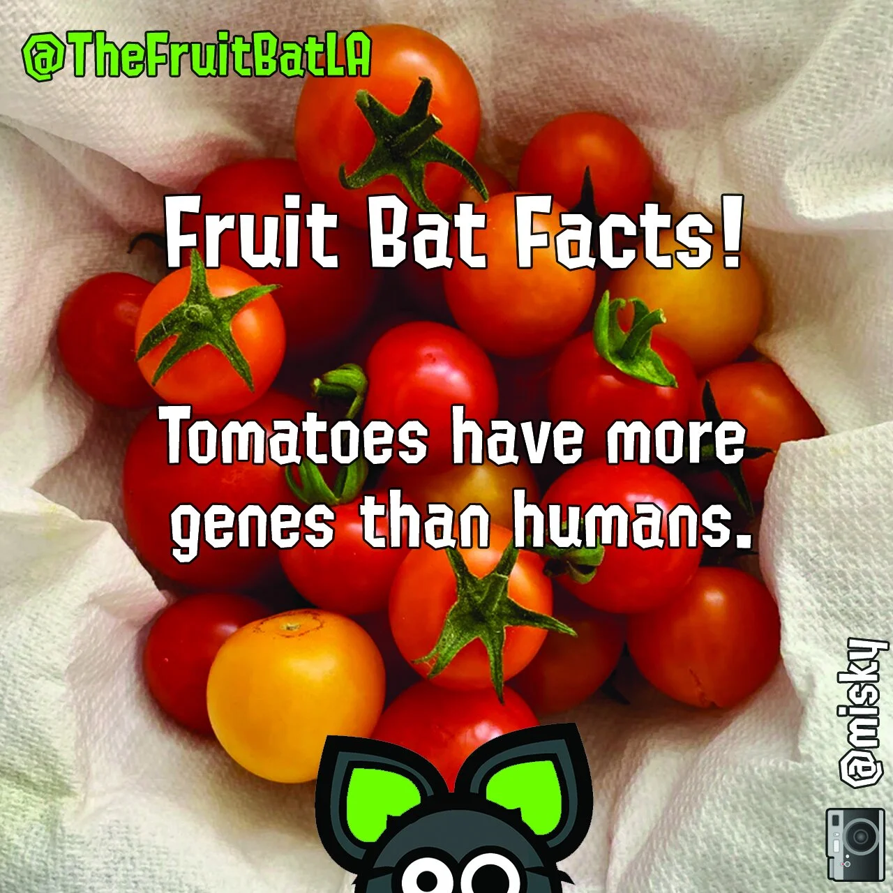 FBF TOMATO GENES.jpg