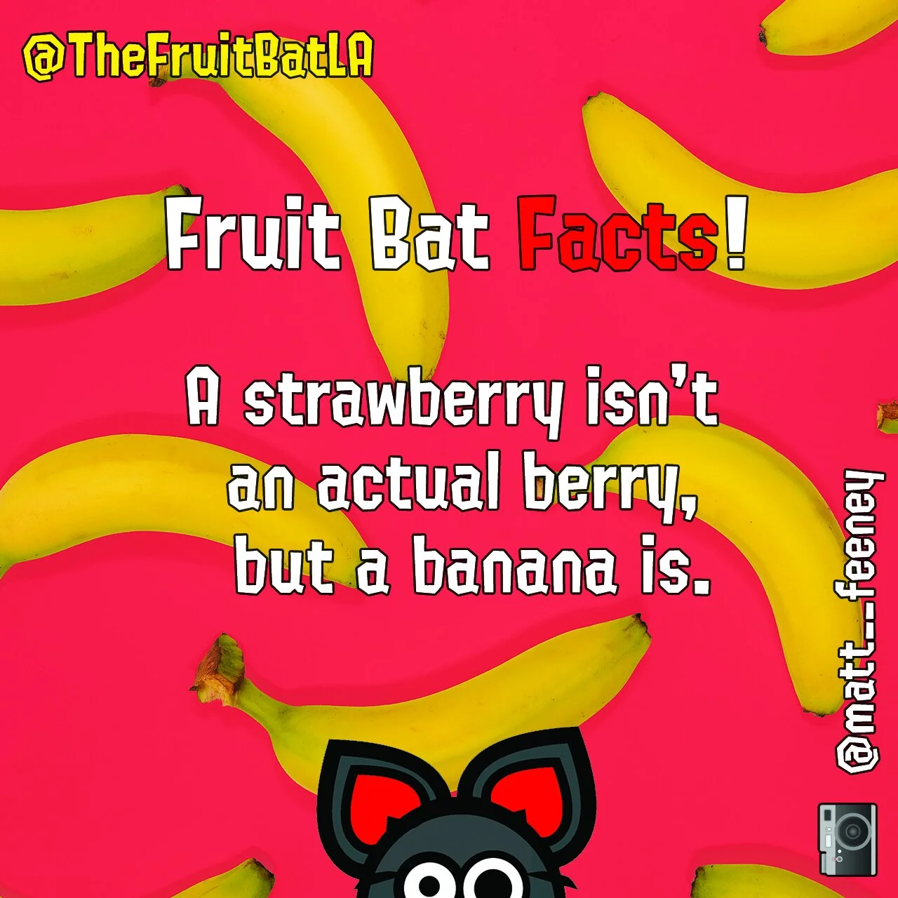 FBF STRAWBERRY BANANAS.jpg