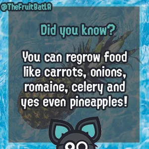Plant tips 3.jpg