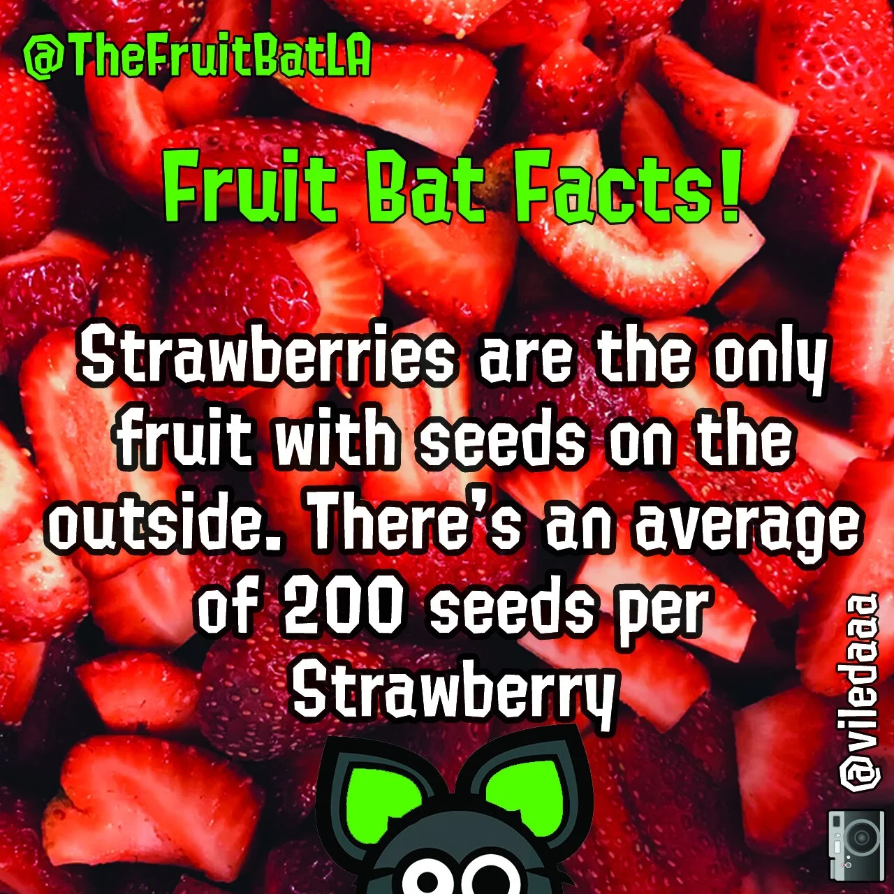fbf berries.jpg