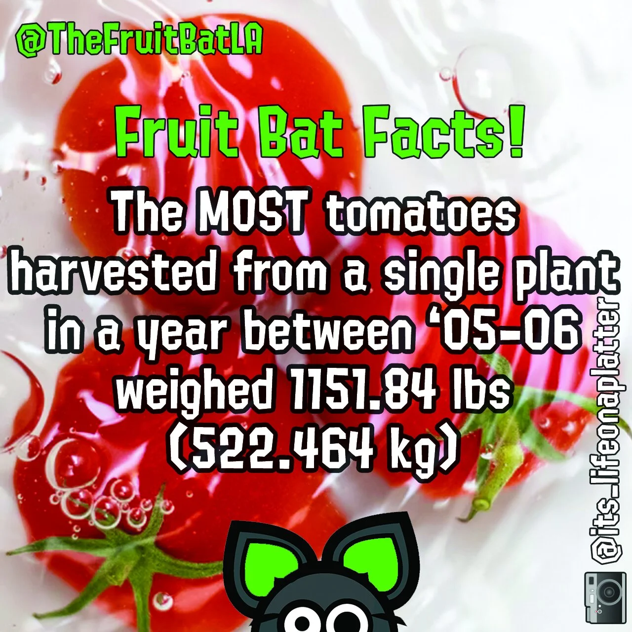 FBF TOMATWO.jpg