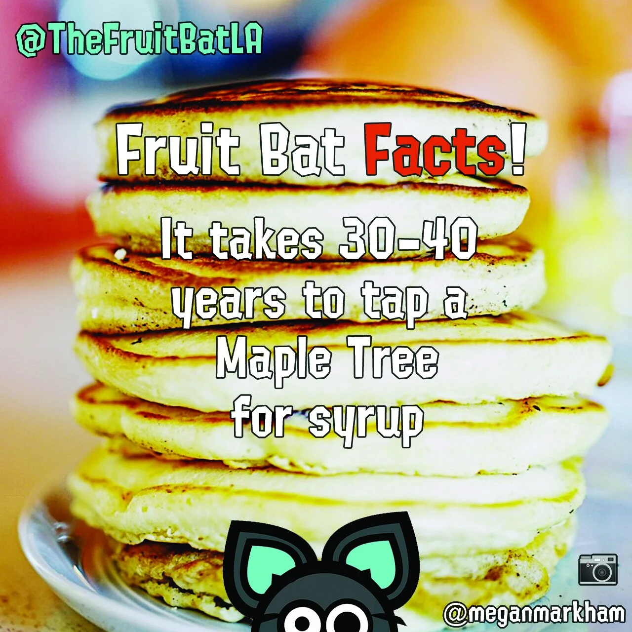 FBF PANCAKES.jpg