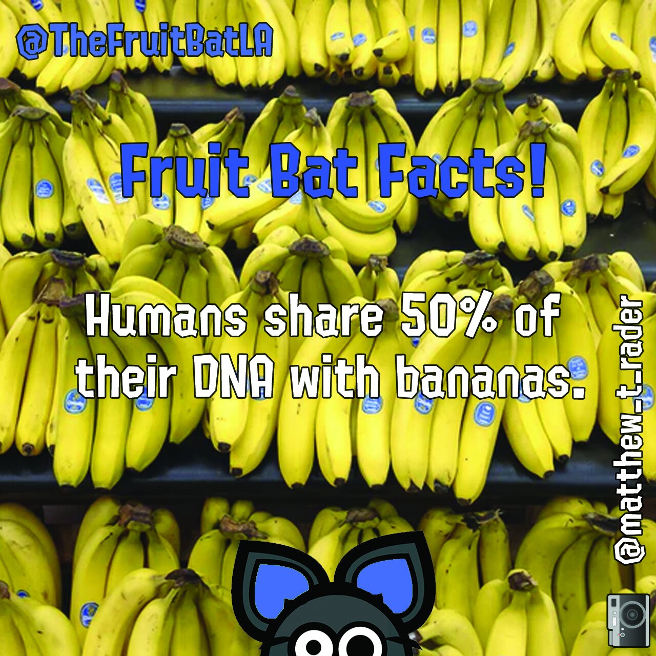 FBF BANANAS.jpg