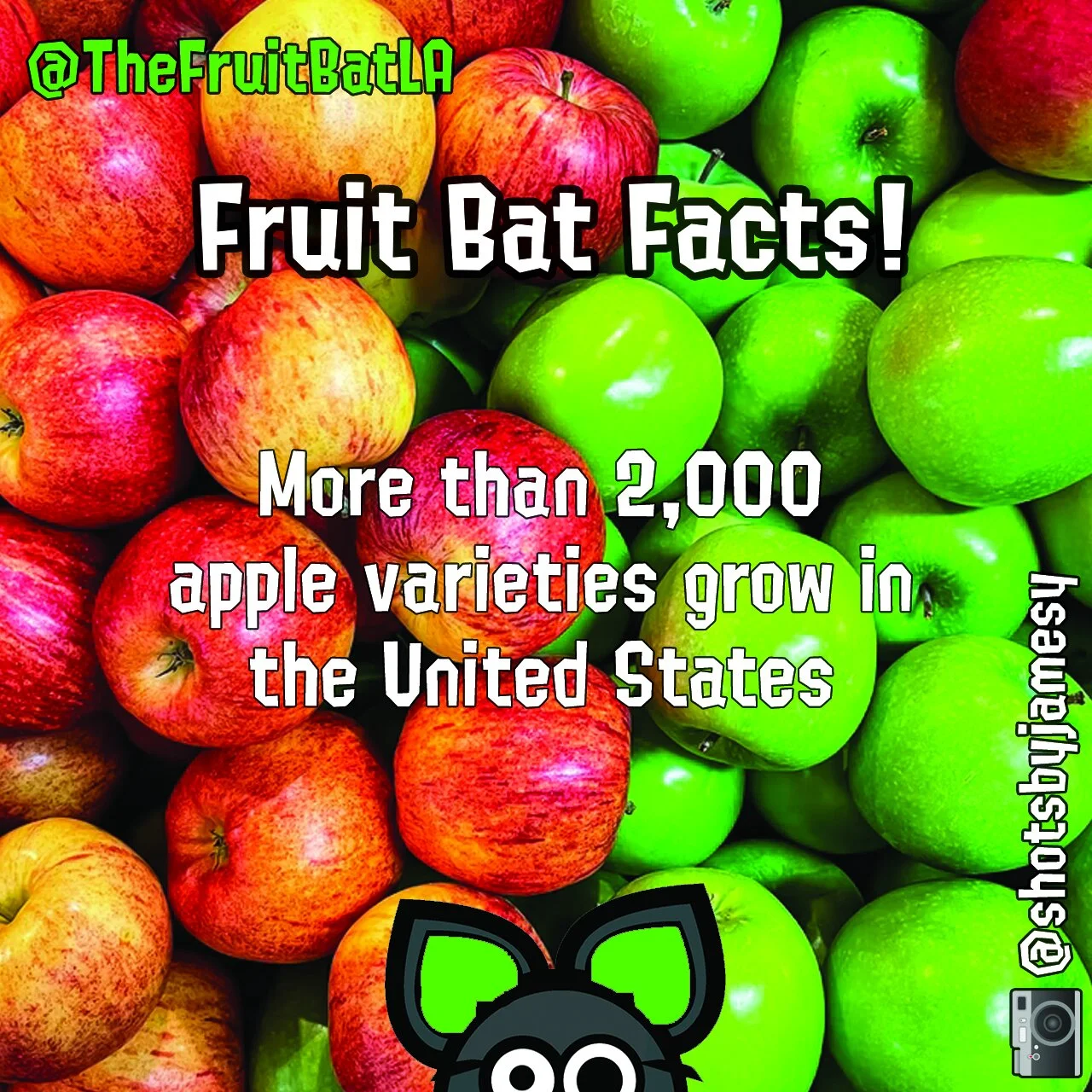 FBF APPLES VARIETY.jpg