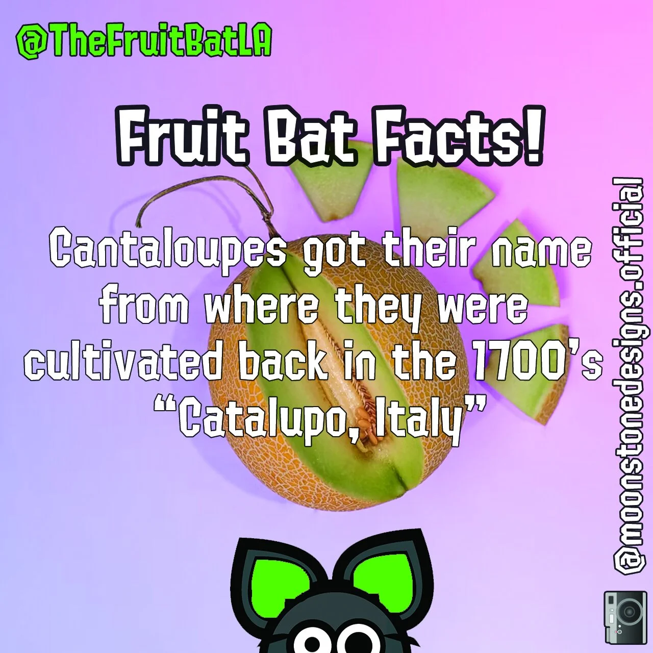 FBF CANTALOUPE.jpg
