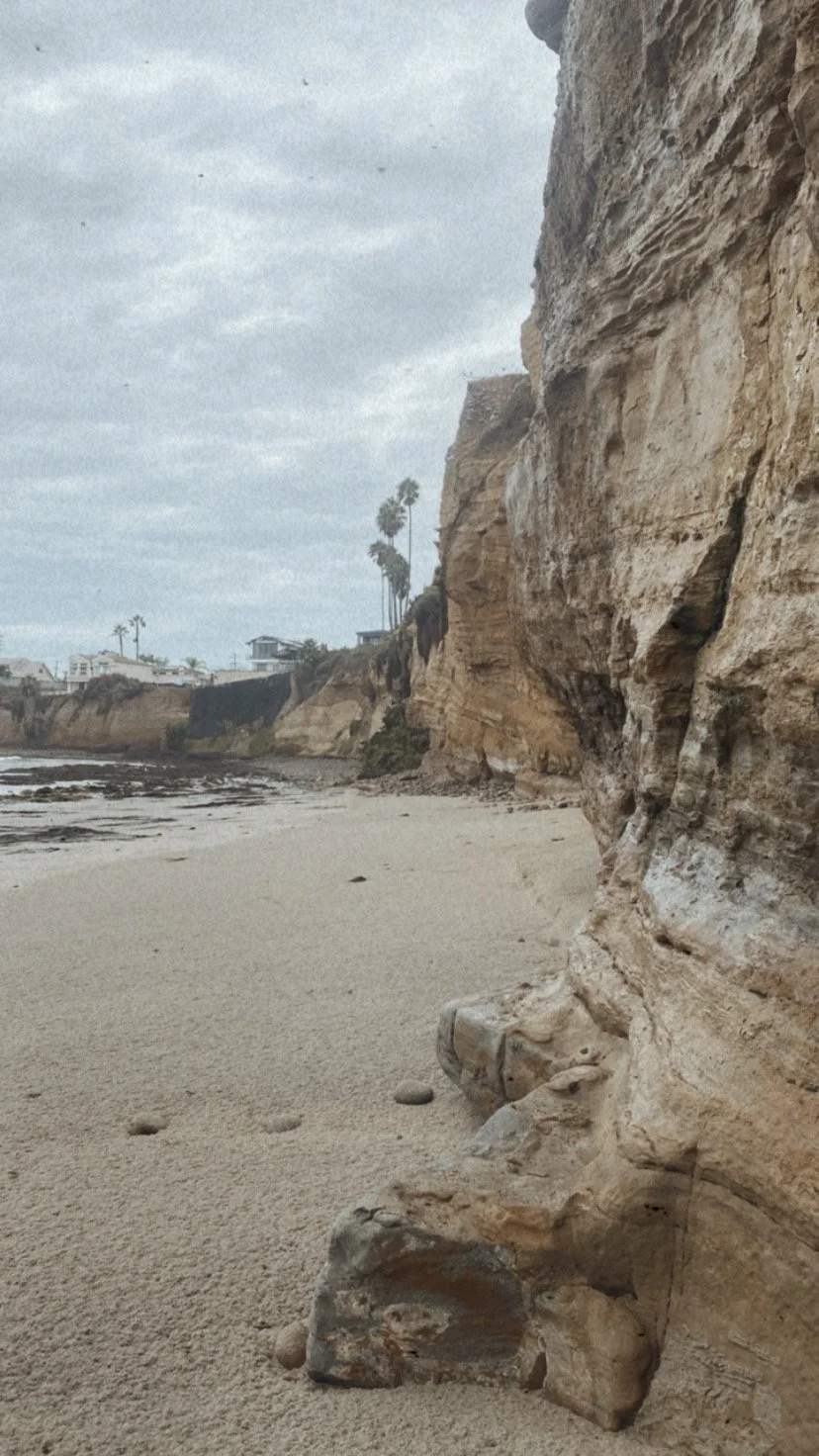 San Diego view of a beach with sandy shore and rocky cliffs on the right. Palm trees and houses are visible in the background under a cloudy sky. Photographed by udee bassey.