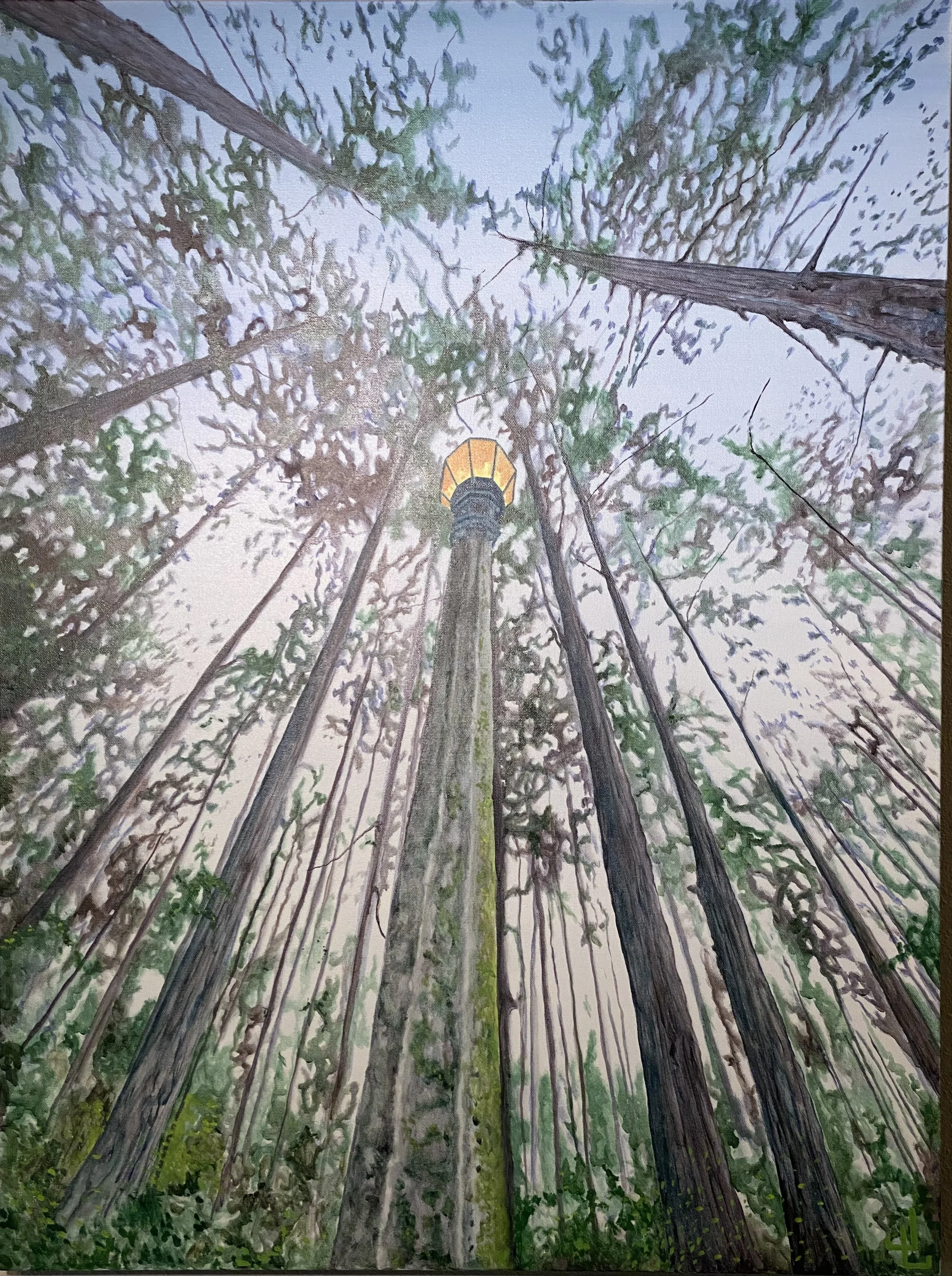 Mt. Tabor Series: Ascending