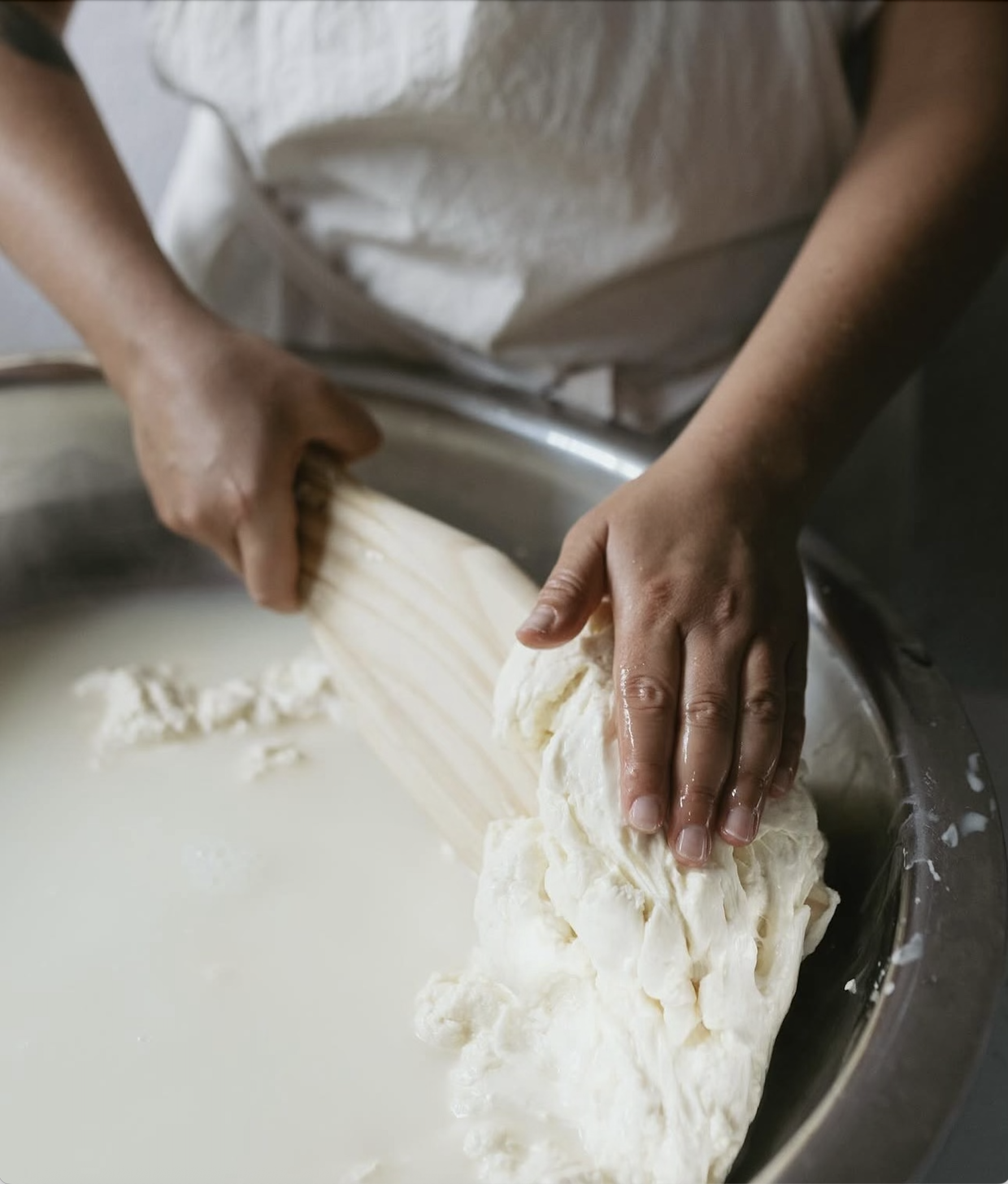 Cheese Class with Meches Moreno