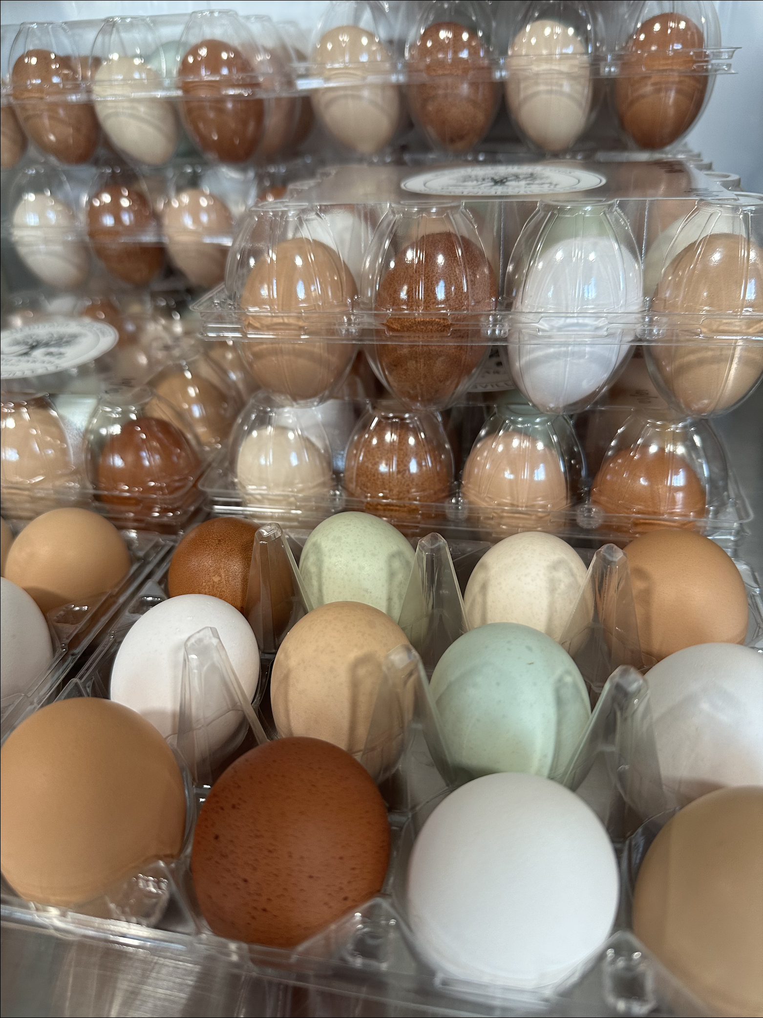 Fresh Eggs by the Dozen