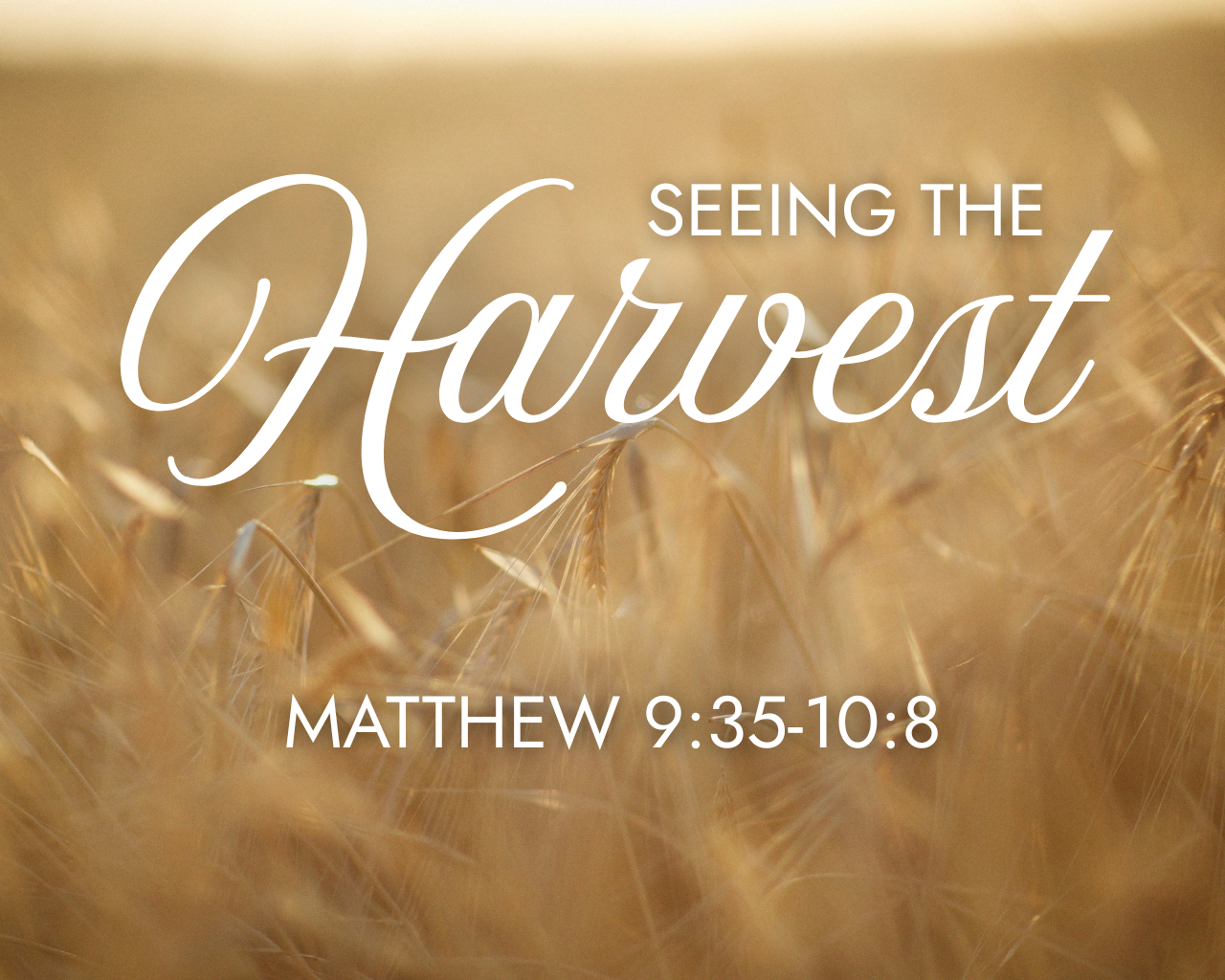 Seeing the Harvest