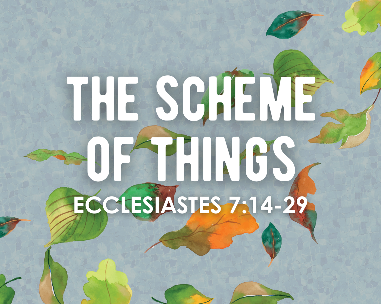 The Scheme of Things 